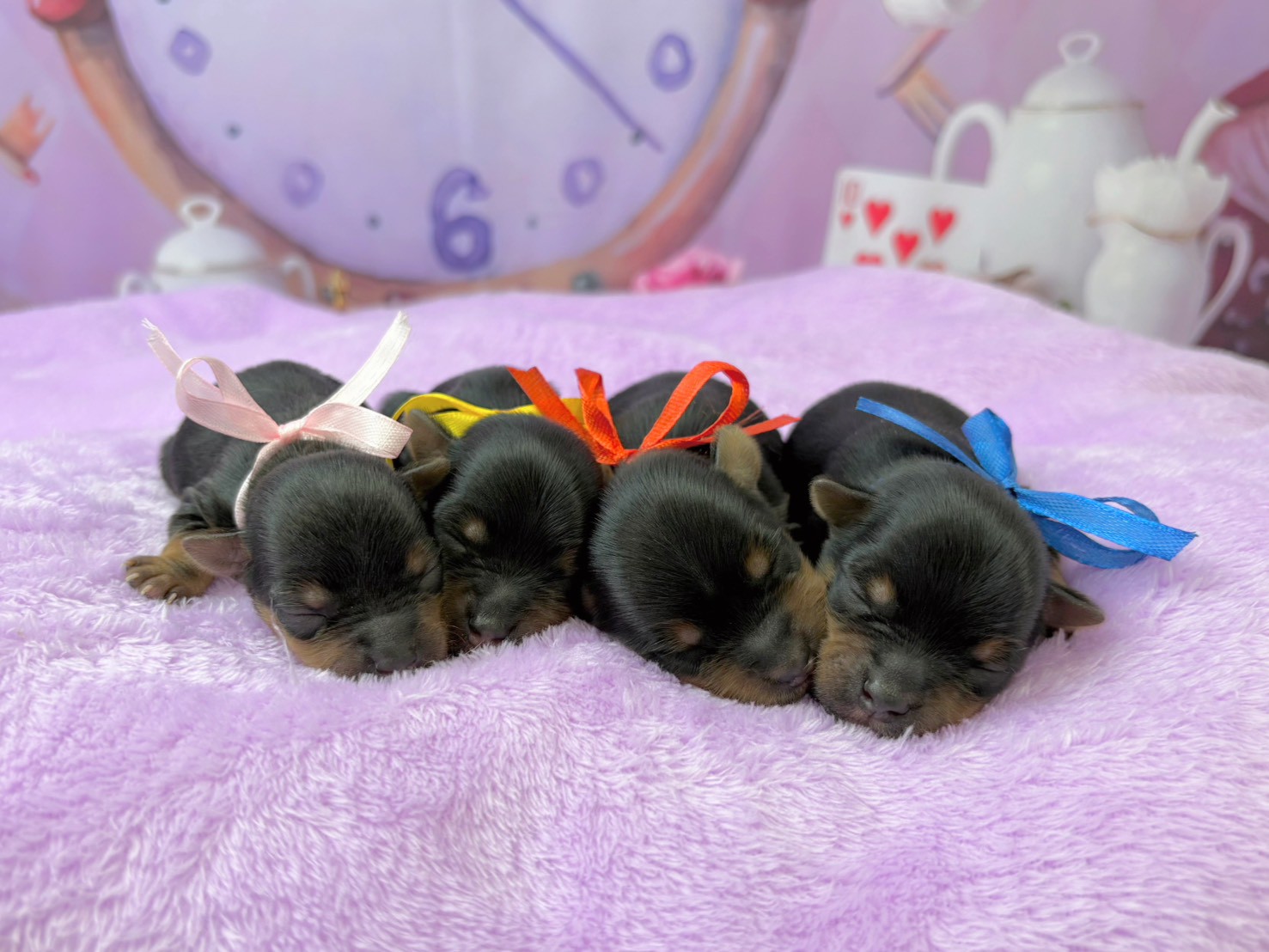 赤ちゃん写真1-3