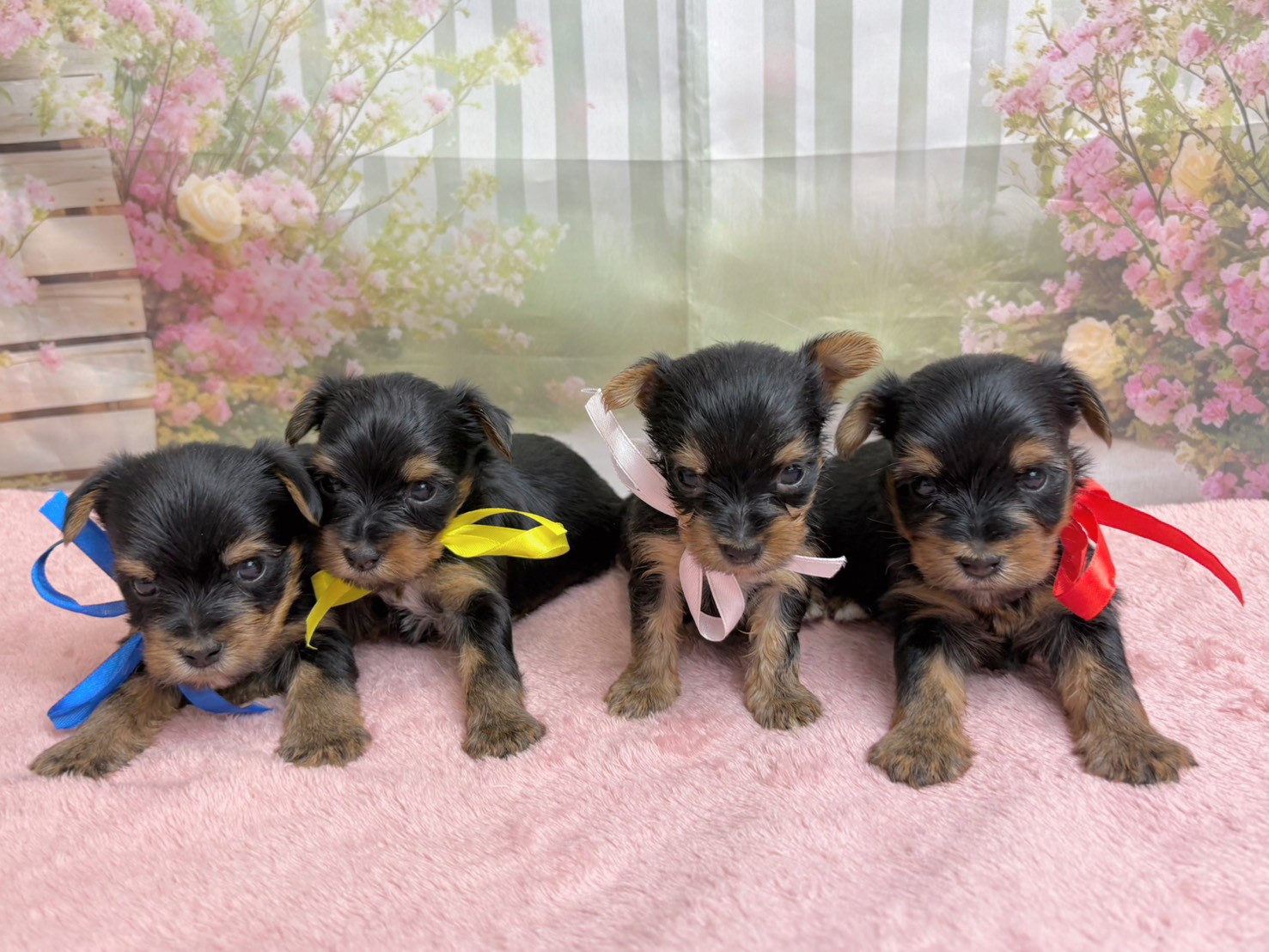 赤ちゃん写真2-3