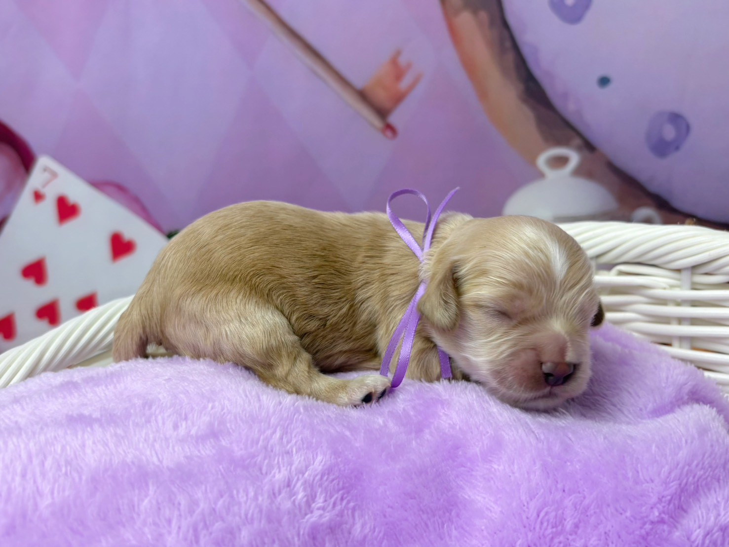 赤ちゃん写真1-2