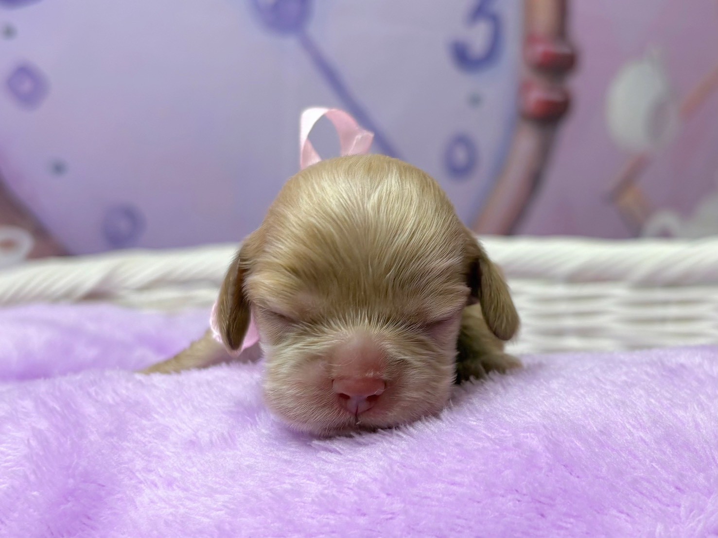 赤ちゃん写真1-1