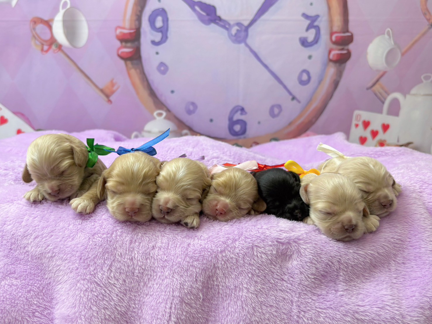 赤ちゃん写真1-3