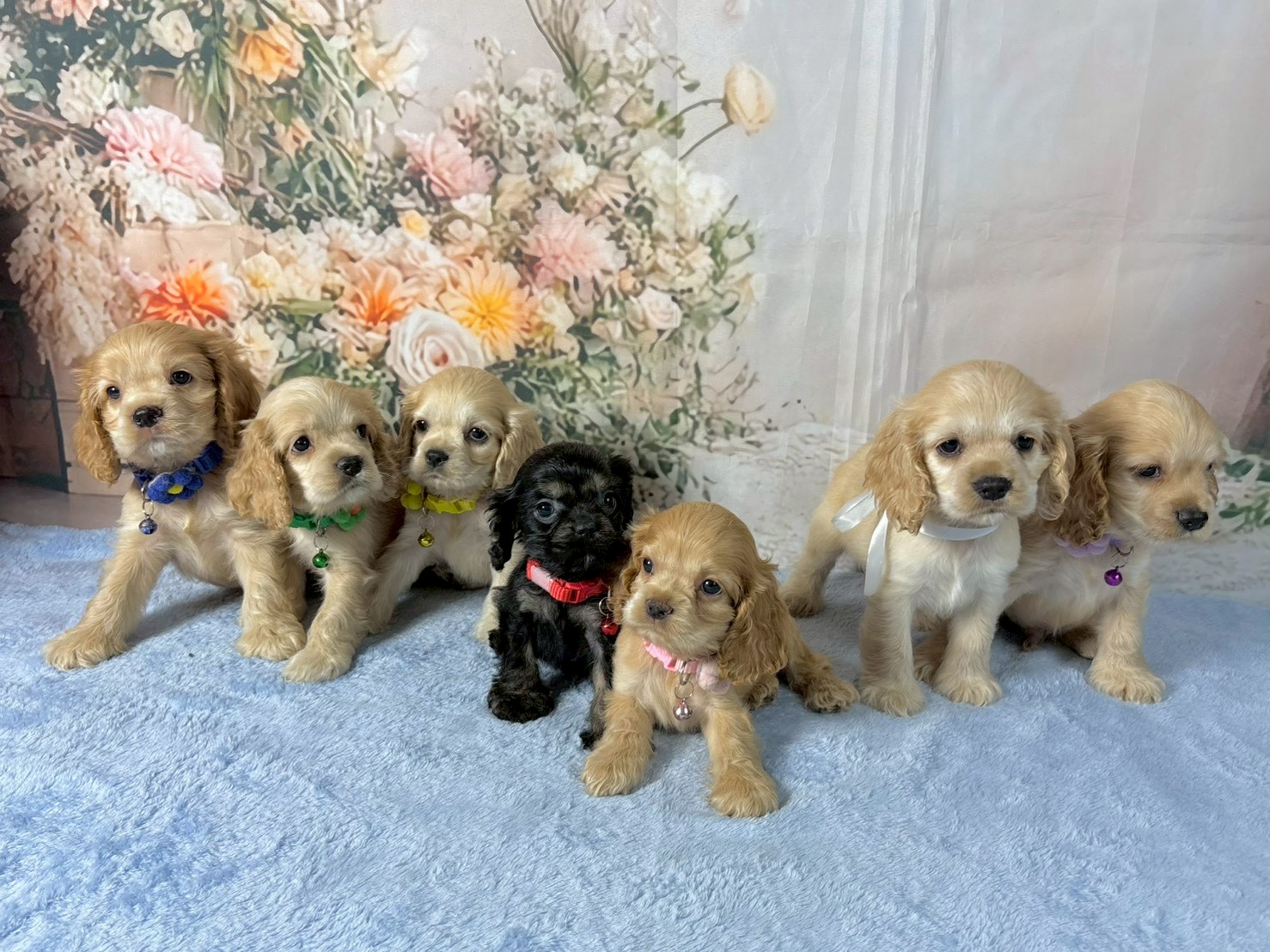 赤ちゃん写真3-3