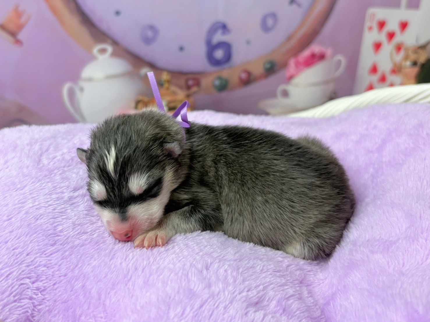 赤ちゃん写真1-2