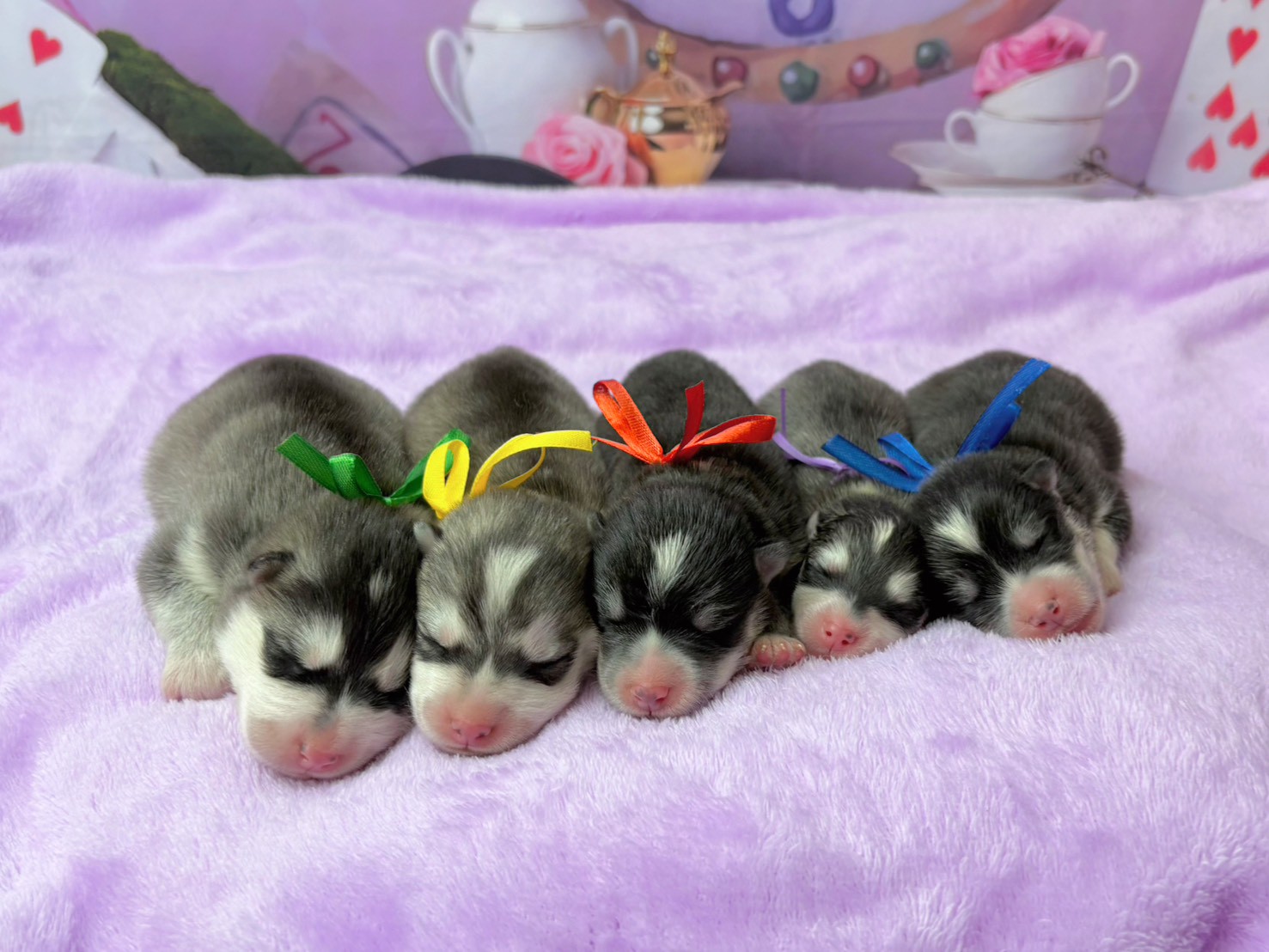 赤ちゃん写真1-3