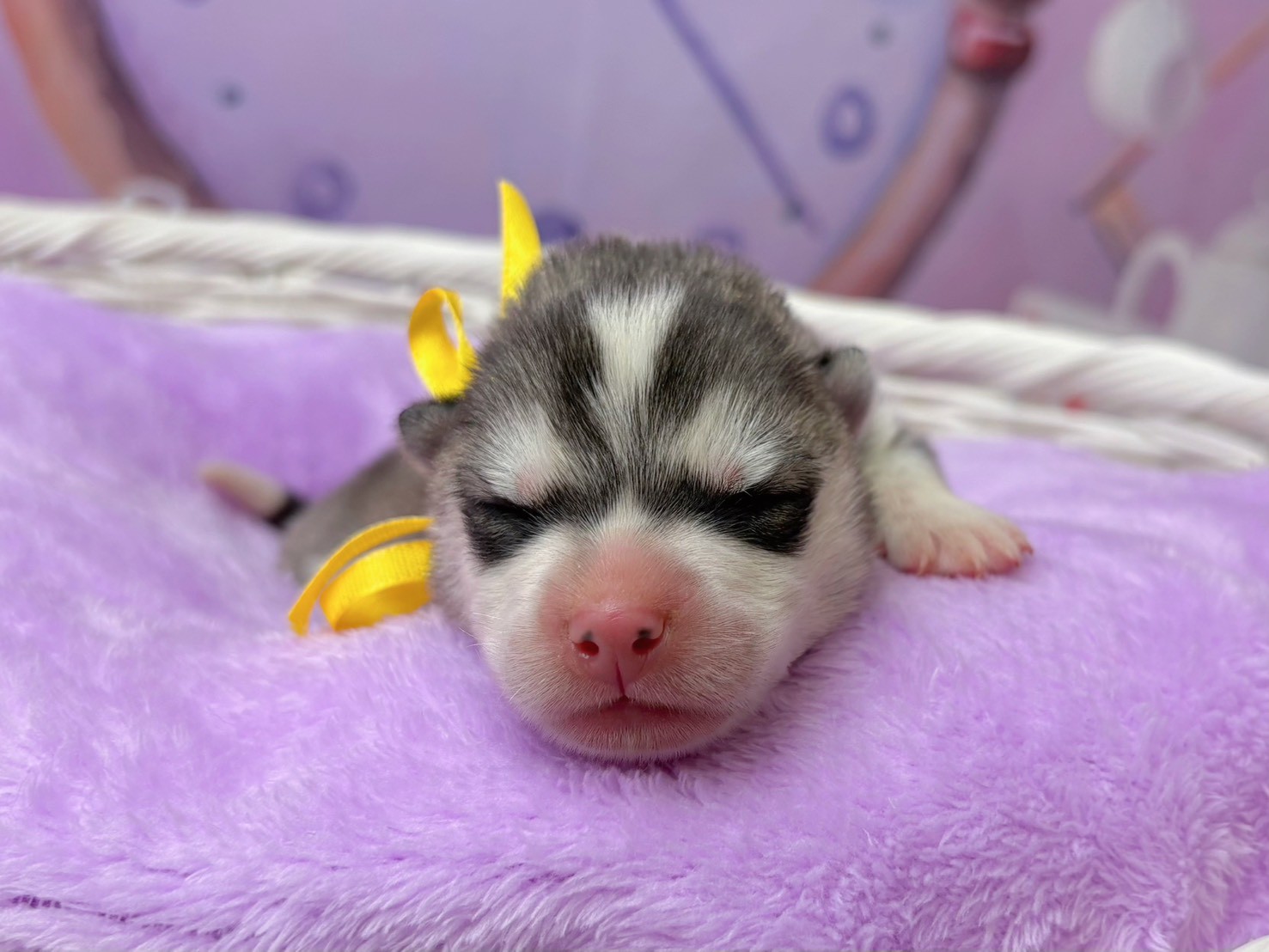 赤ちゃん写真1-1