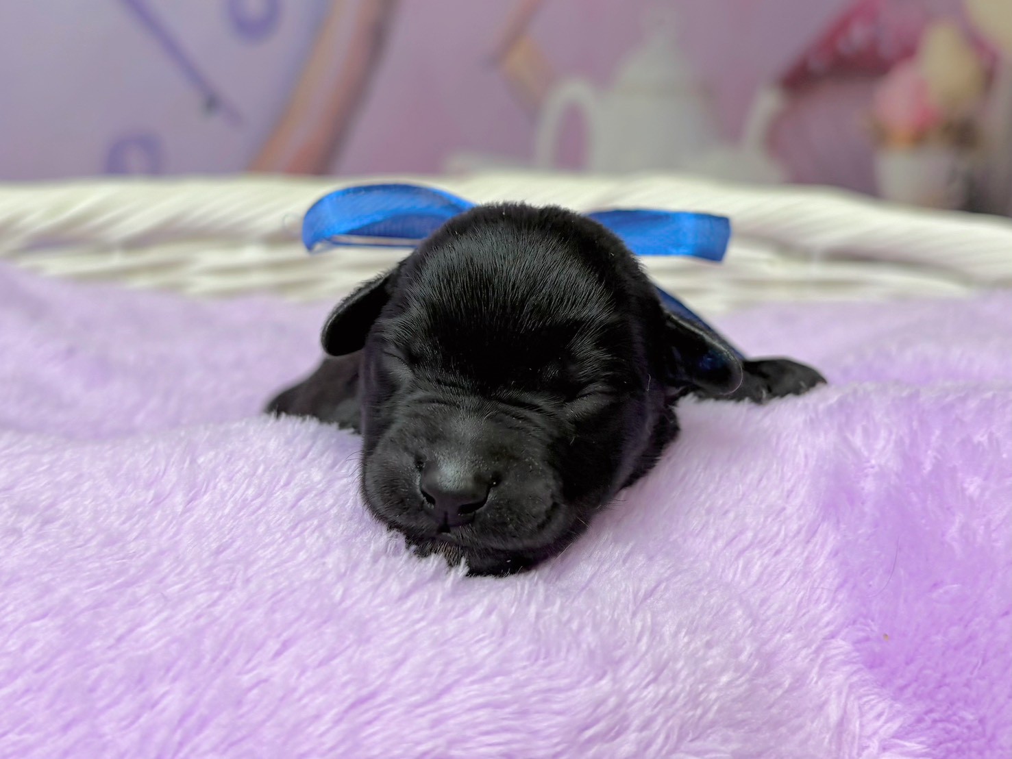 赤ちゃん写真1-1