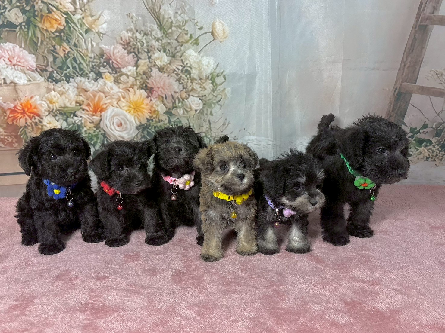 赤ちゃん写真3-3