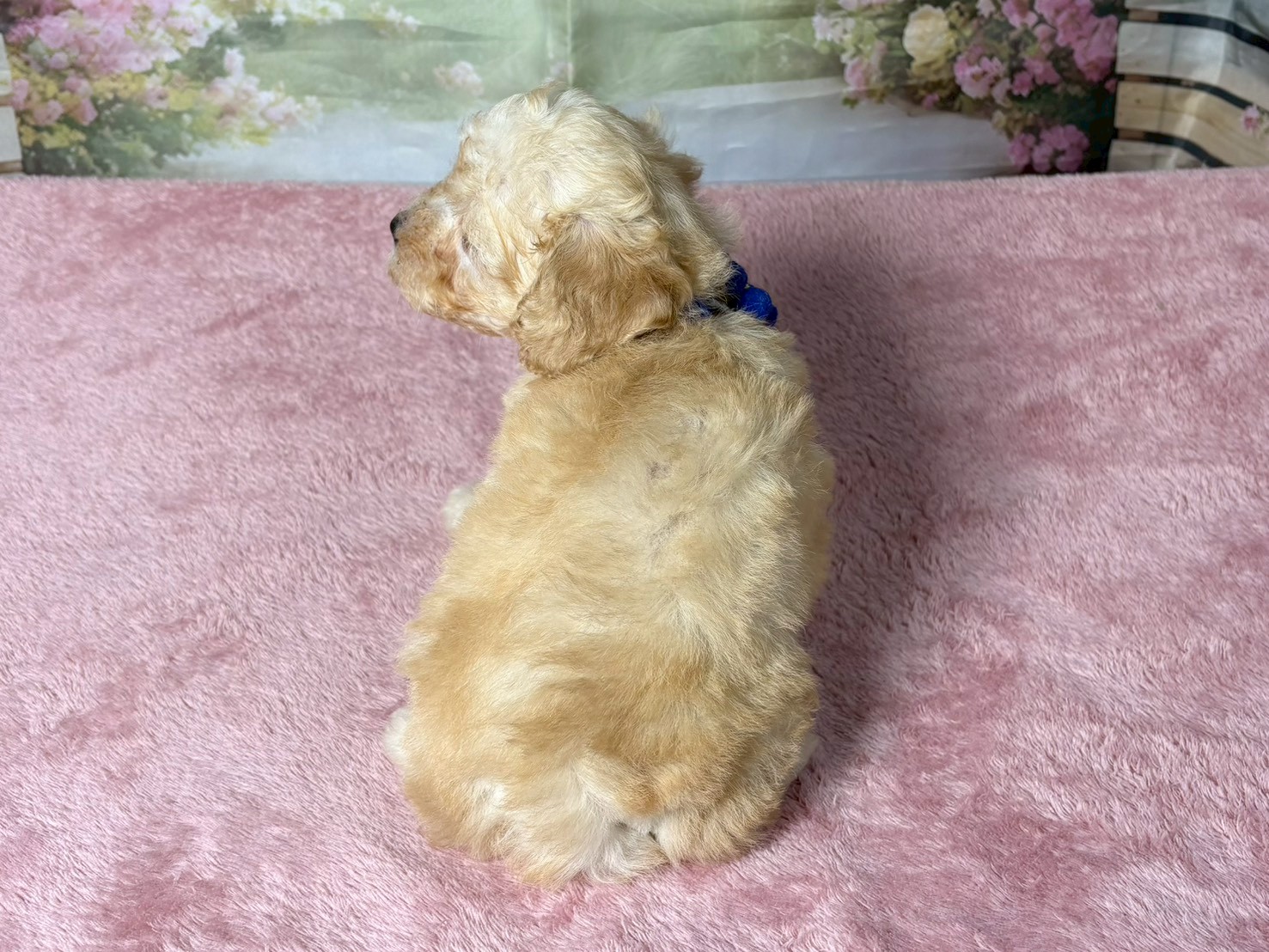 赤ちゃん写真3-3
