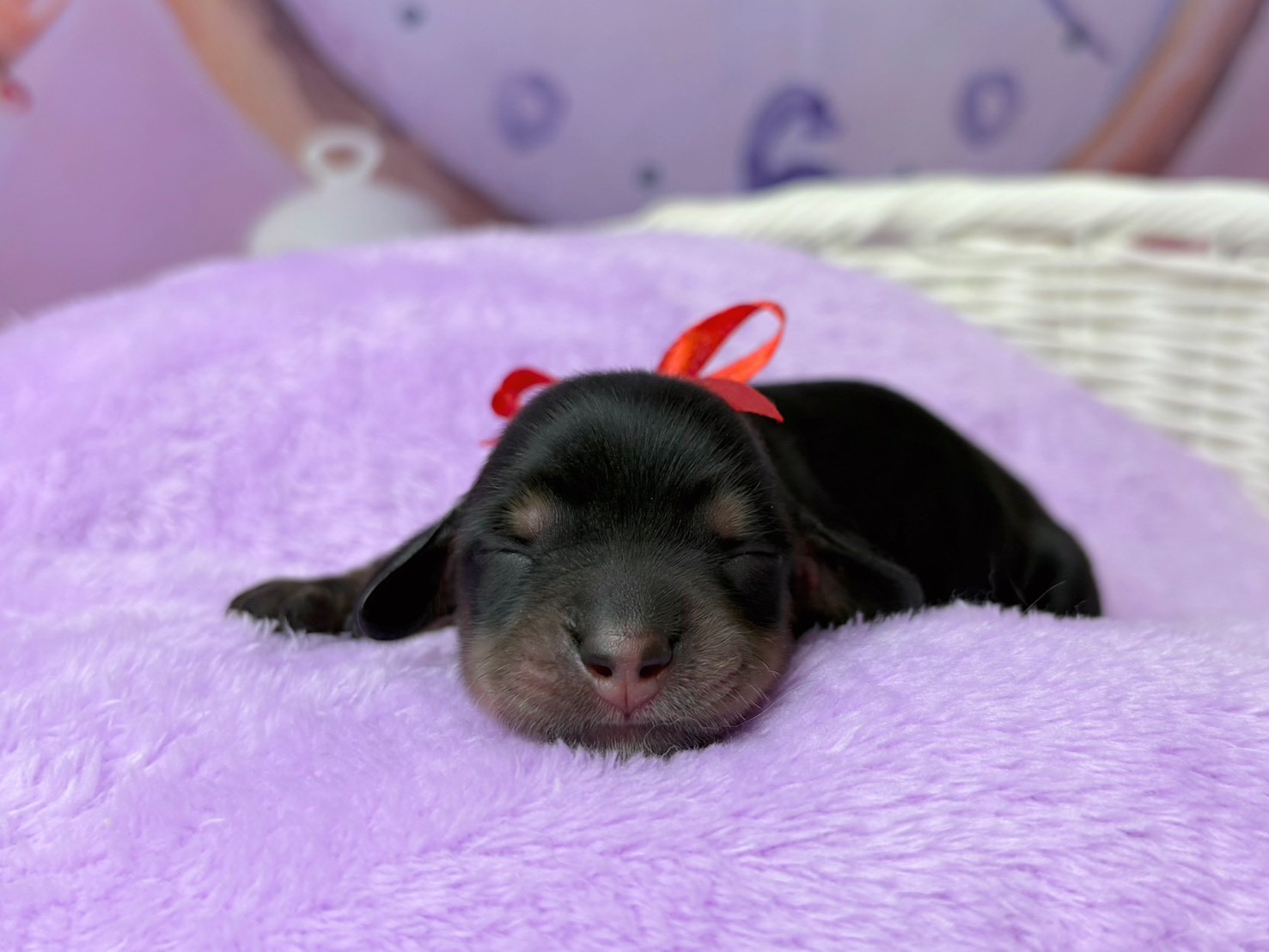 赤ちゃん写真1-1