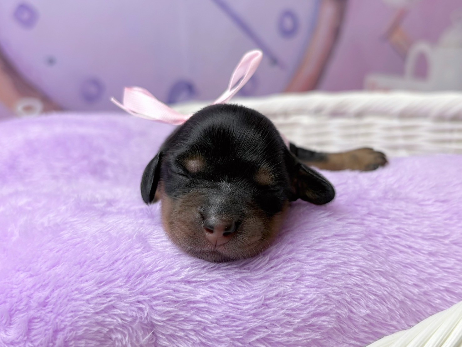 赤ちゃん写真1-1