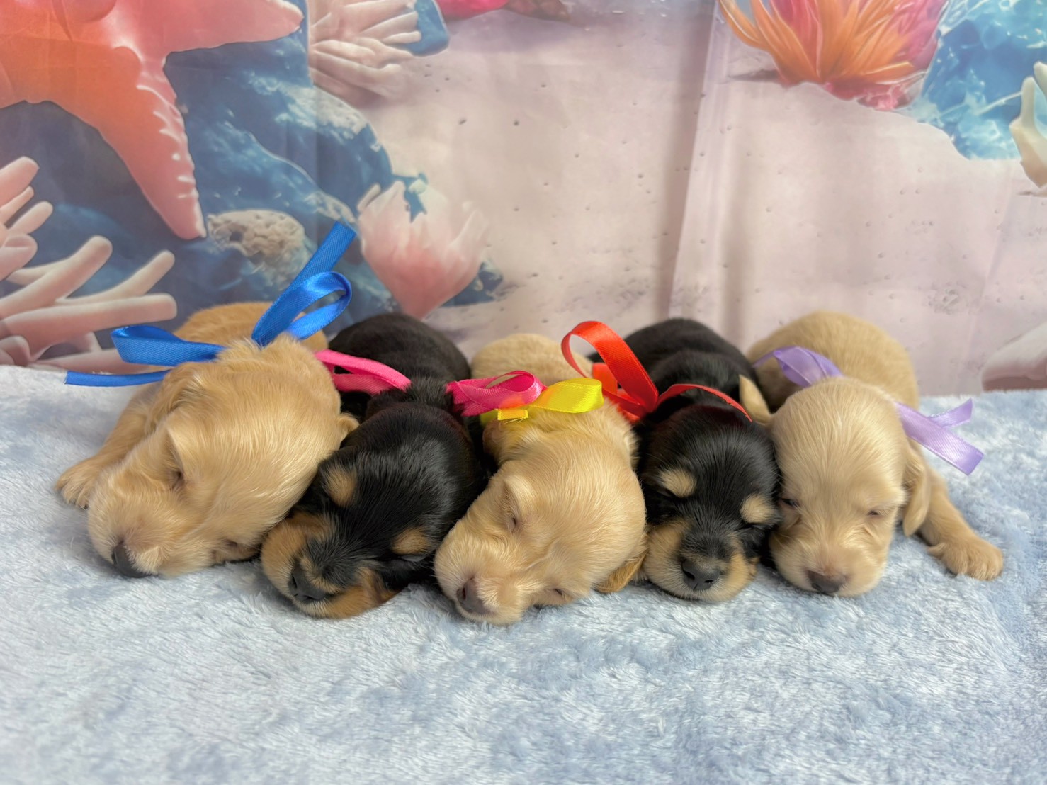 赤ちゃん写真2-3