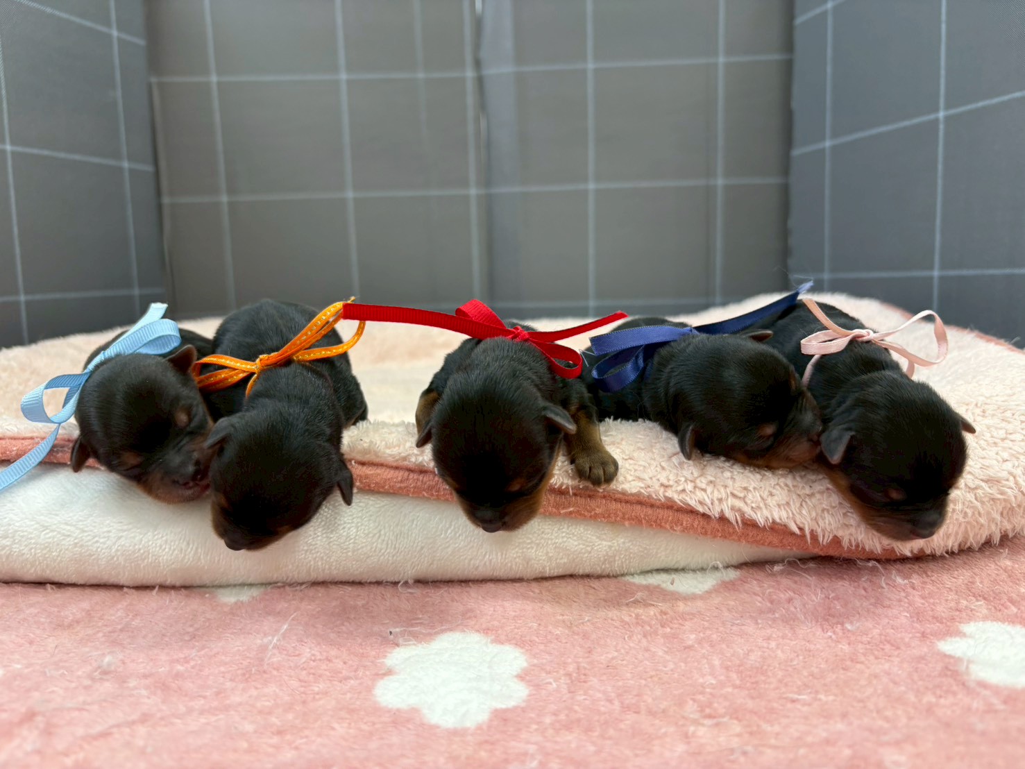 赤ちゃん写真1-3