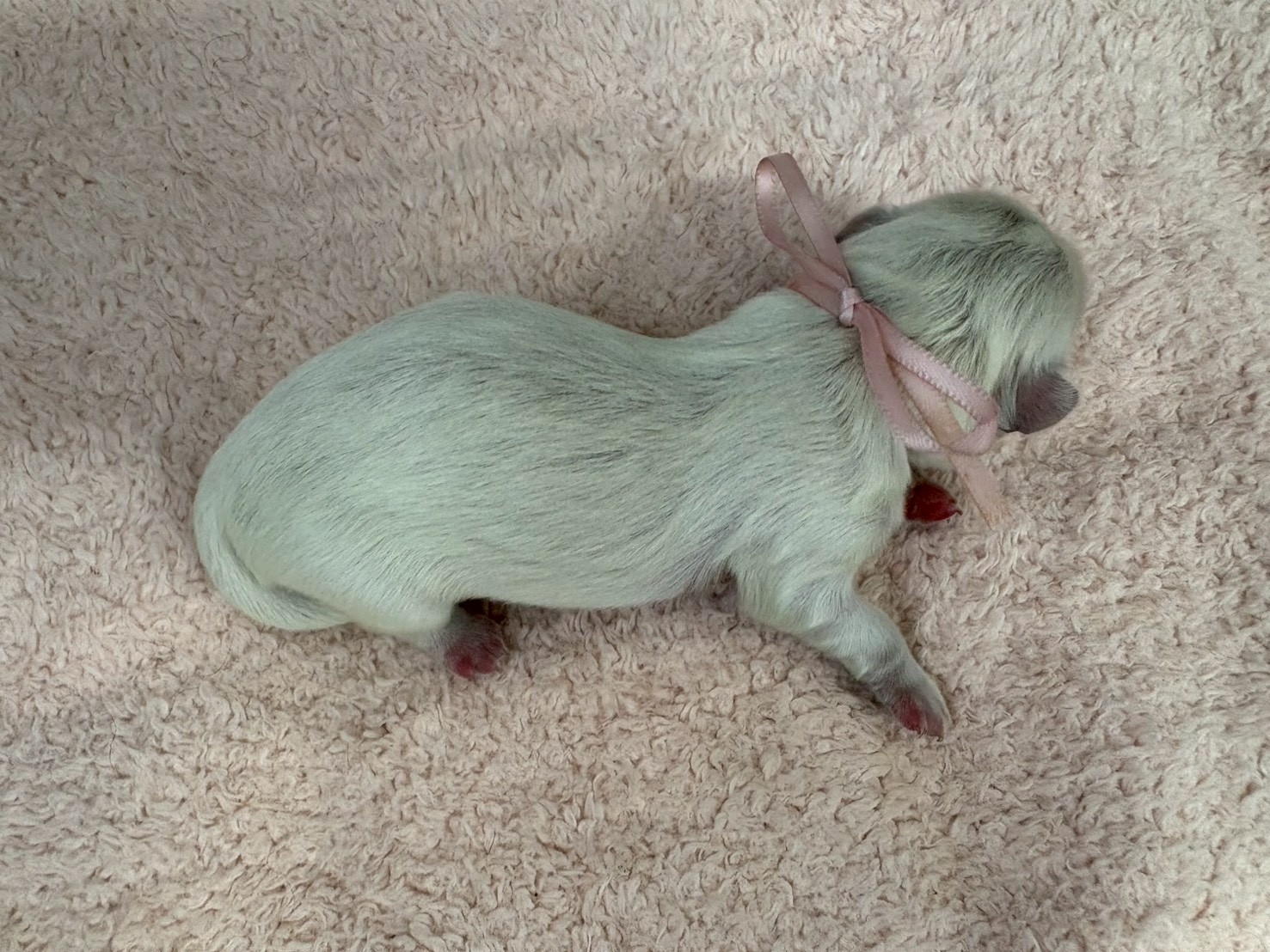 赤ちゃん写真1-3