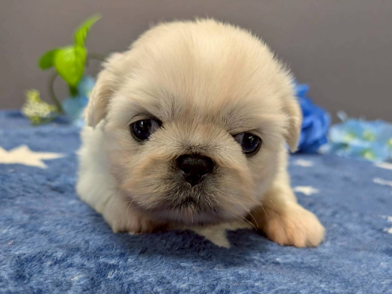 赤ちゃん写真2-1