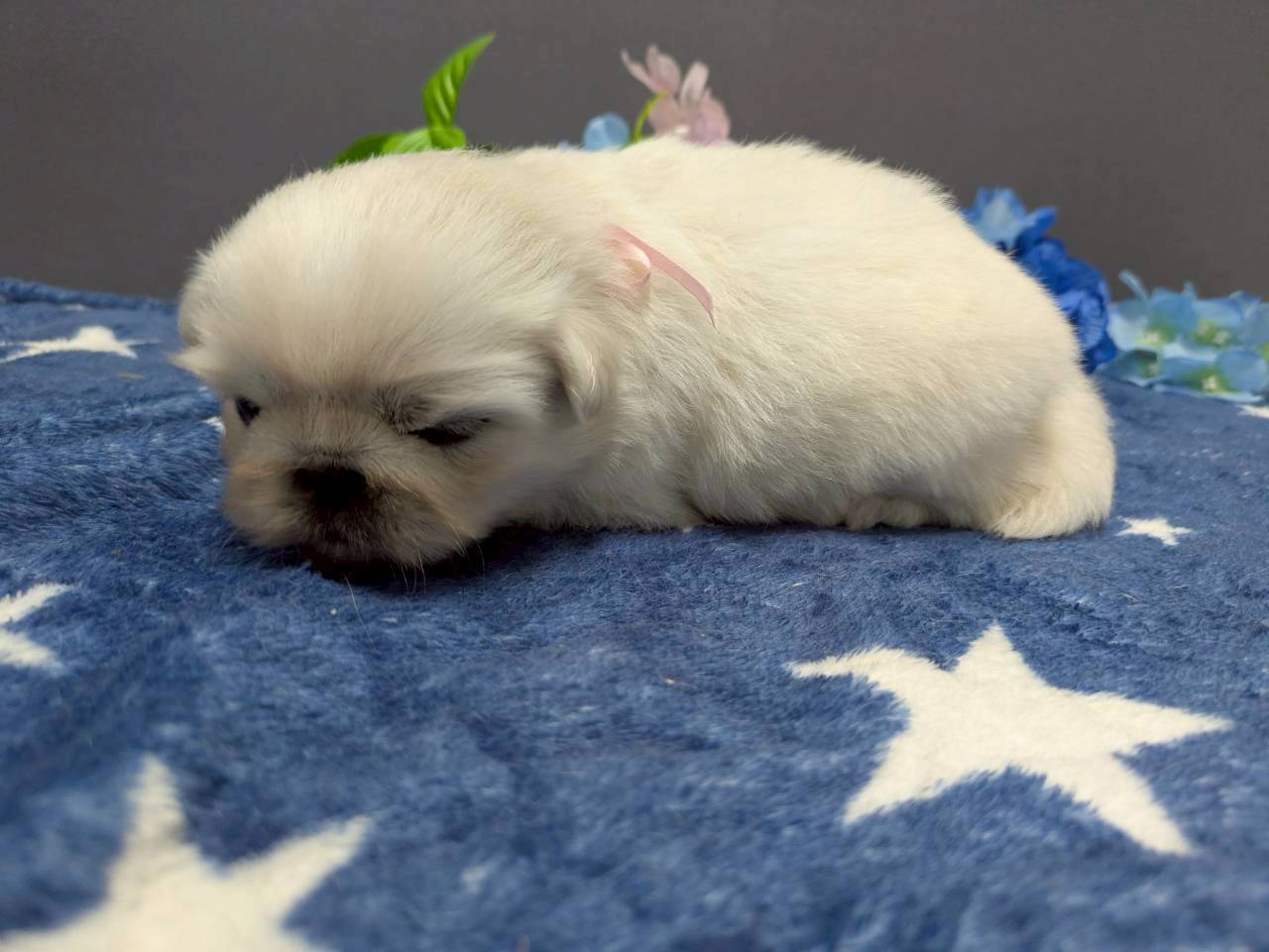 赤ちゃん写真2-2