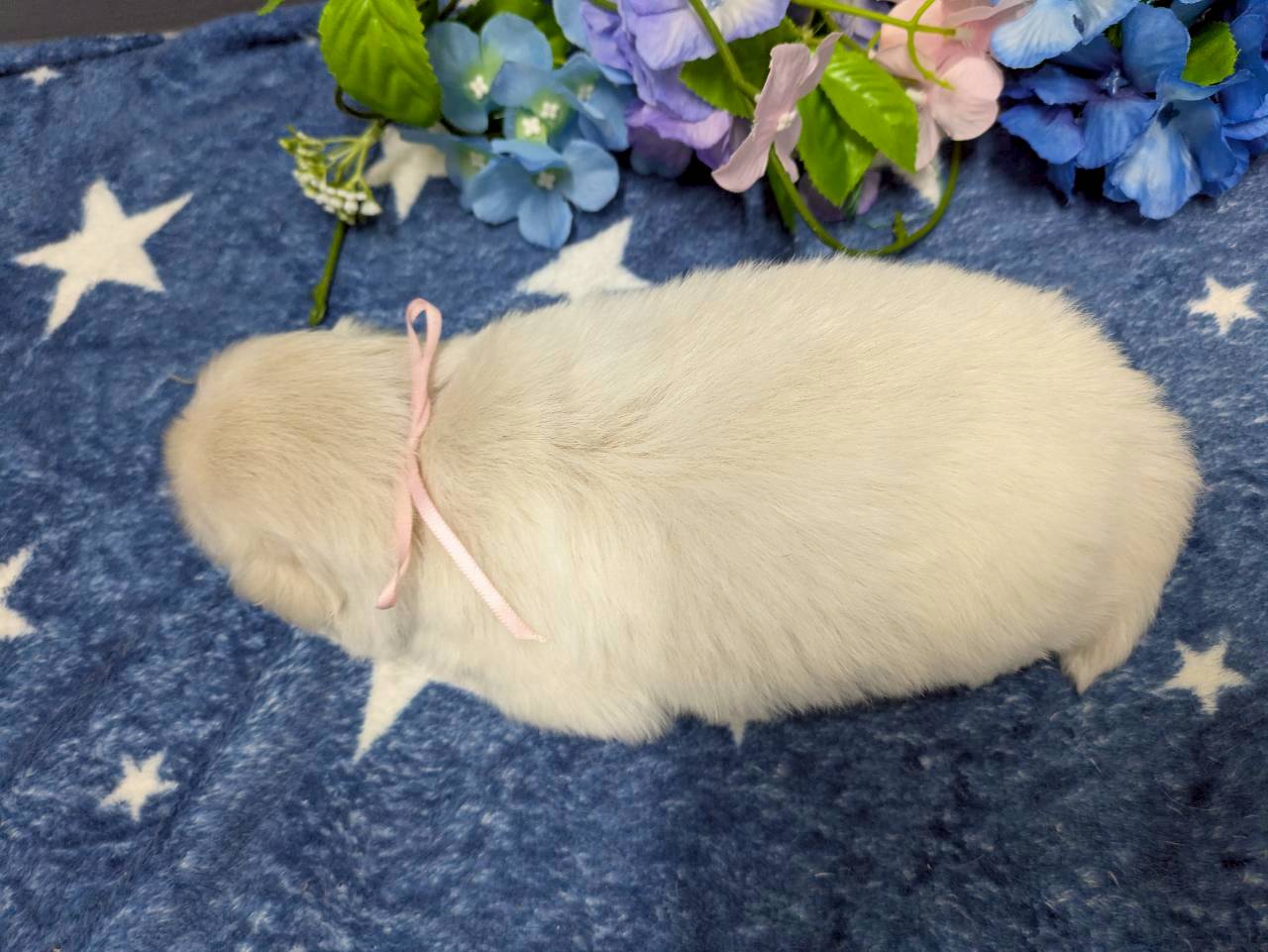 赤ちゃん写真2-3