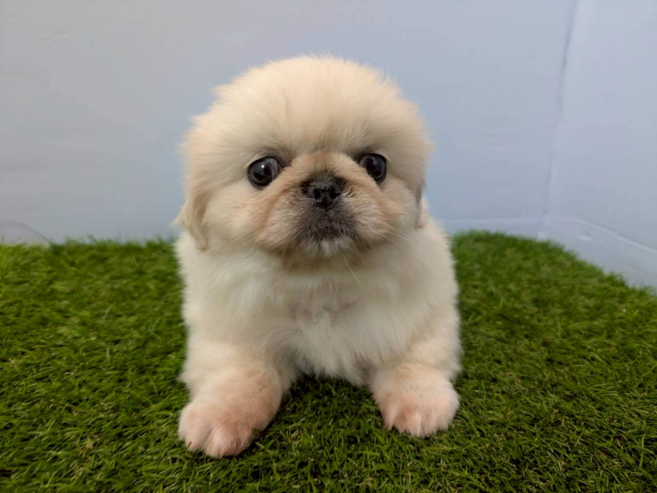 赤ちゃん写真3-1