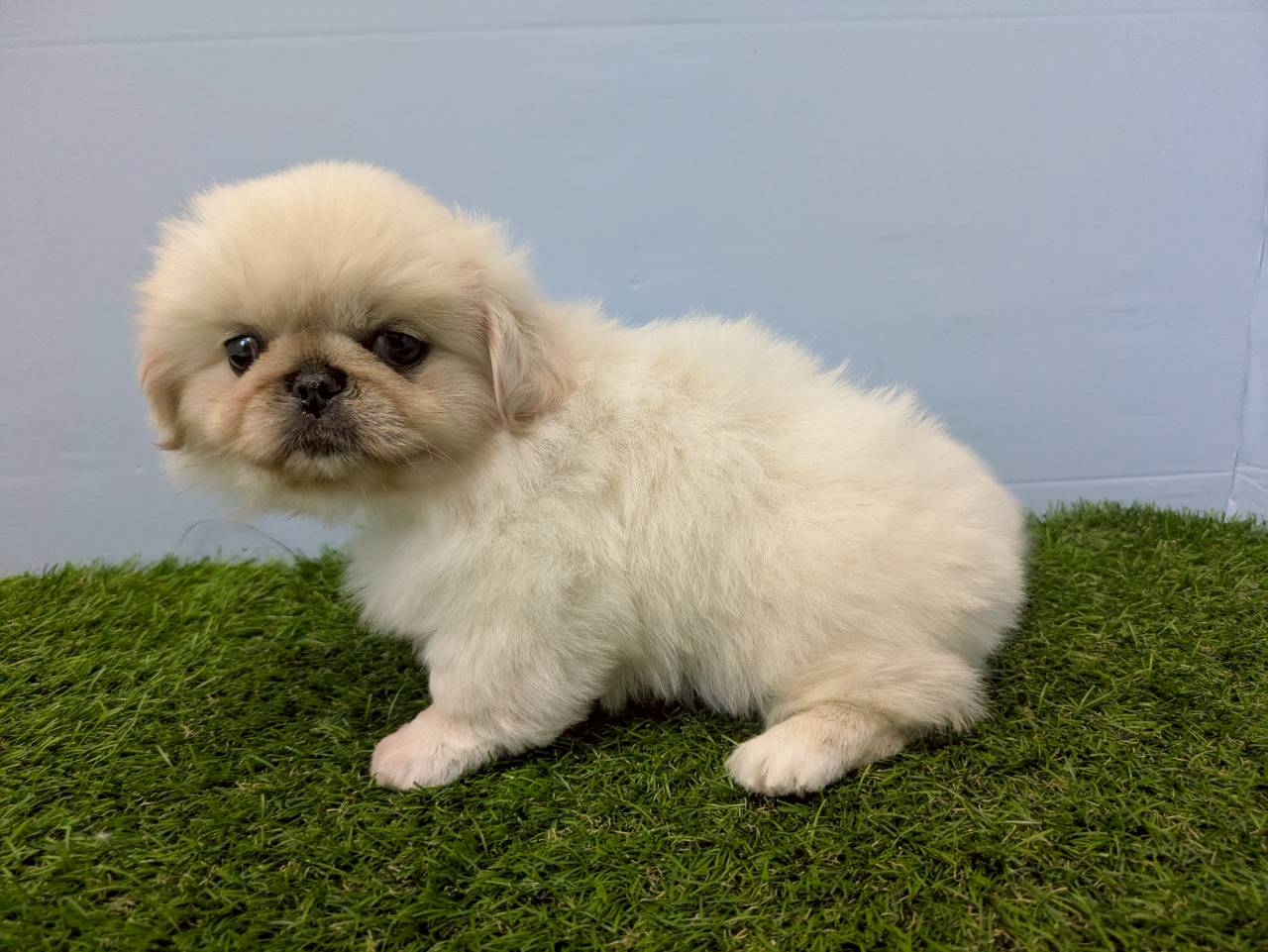 赤ちゃん写真3-2