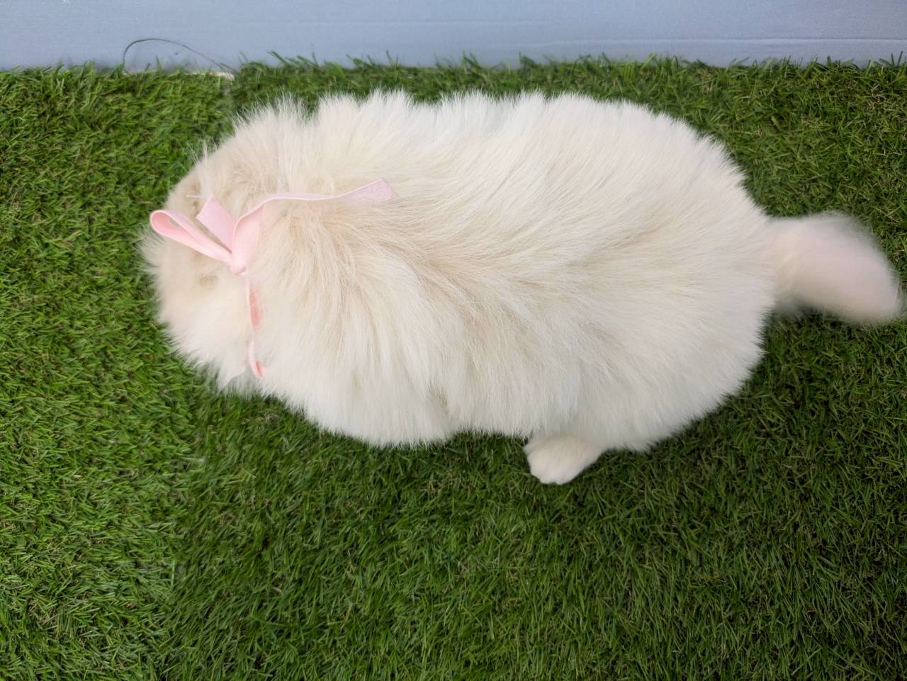 赤ちゃん写真3-3