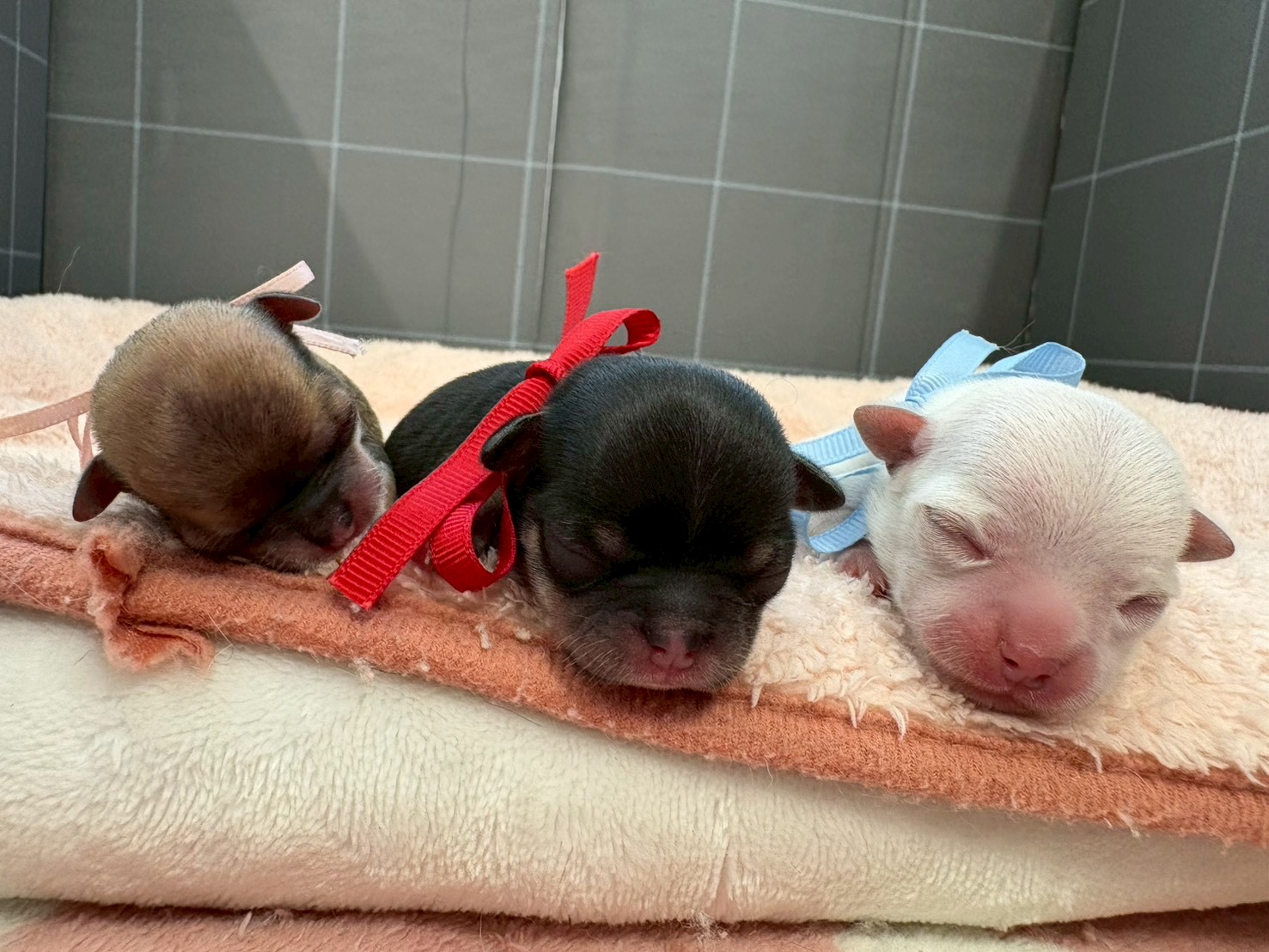 赤ちゃん写真1-3