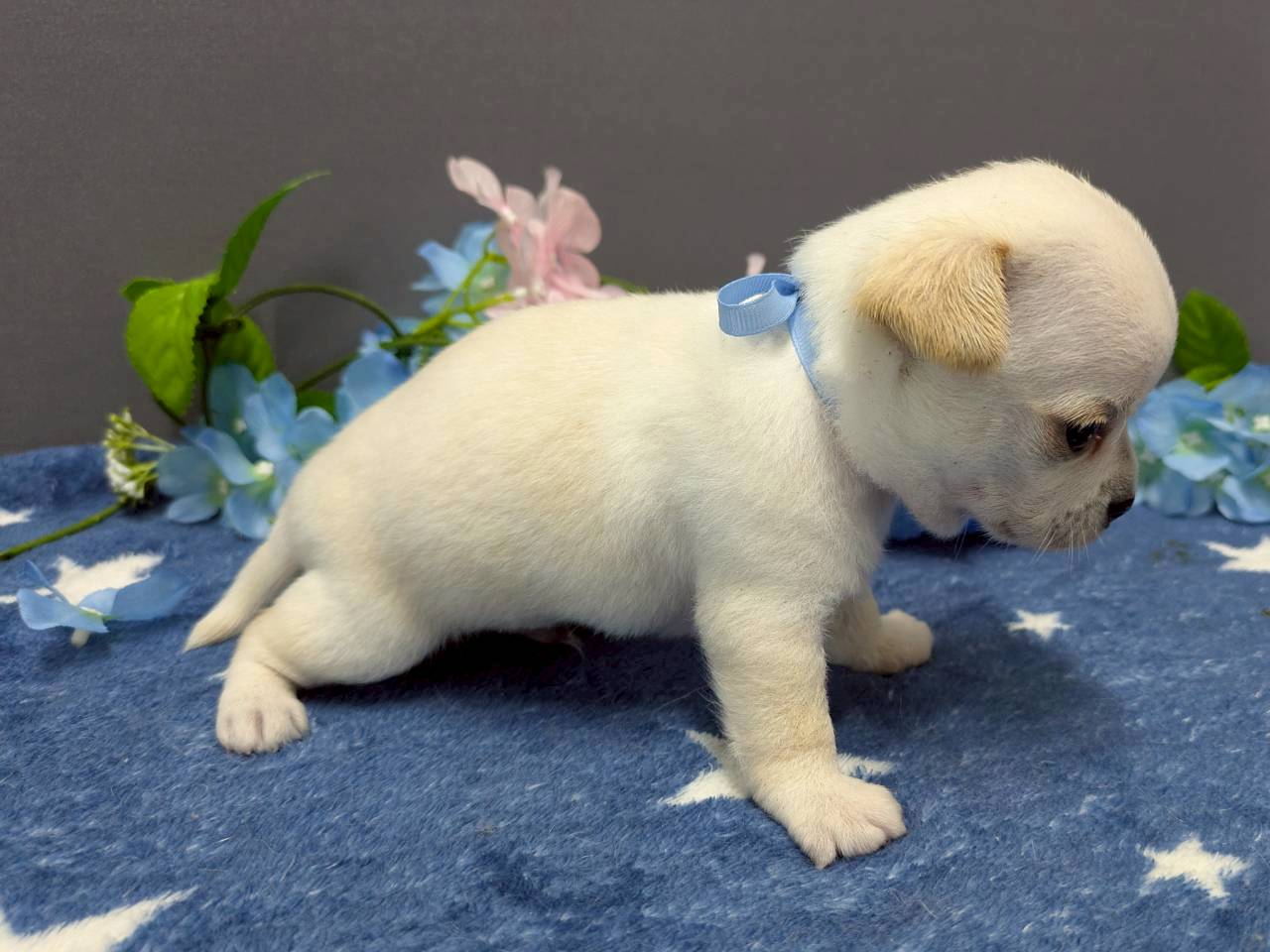 赤ちゃん写真2-2