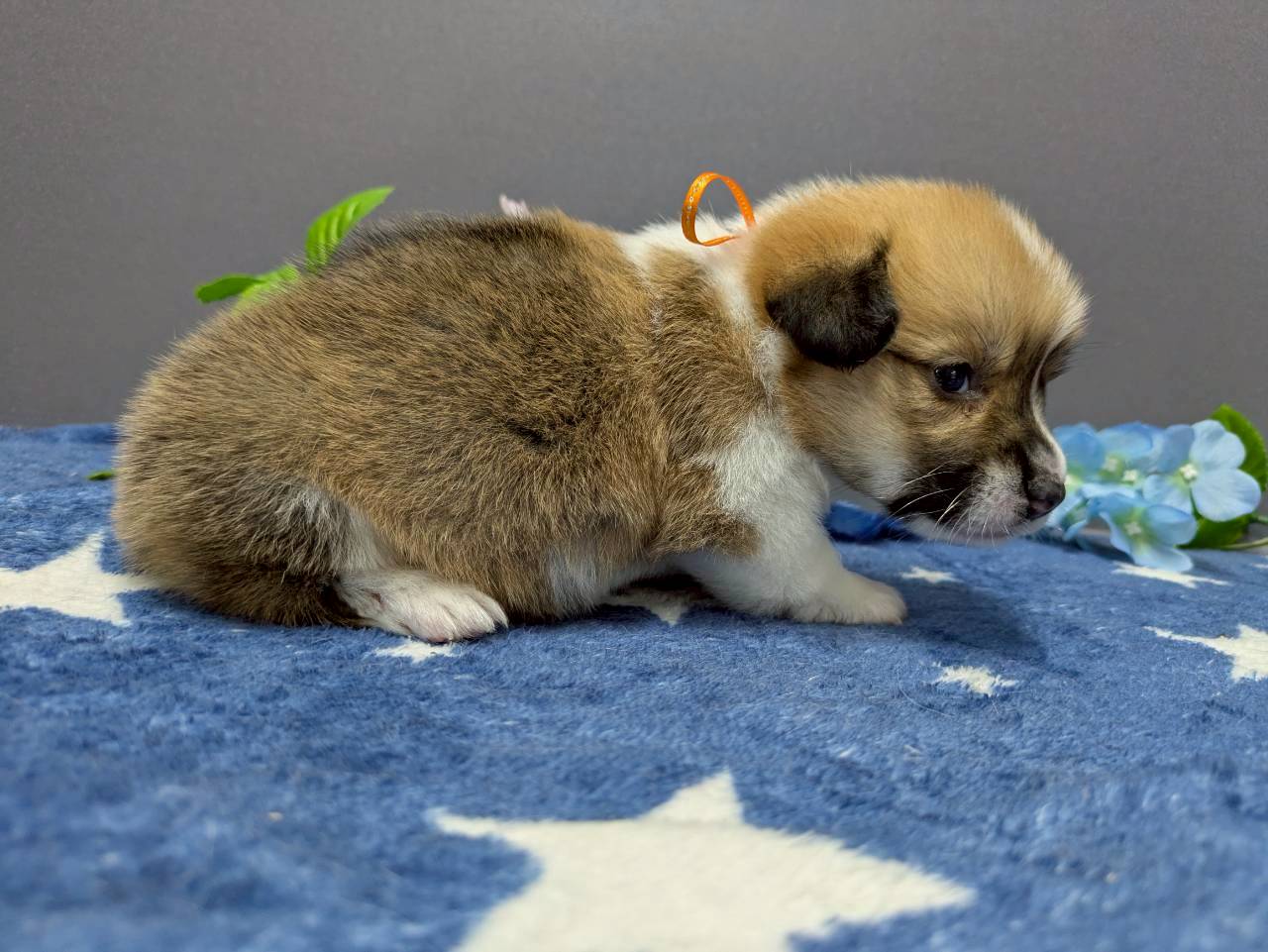 赤ちゃん写真2-2