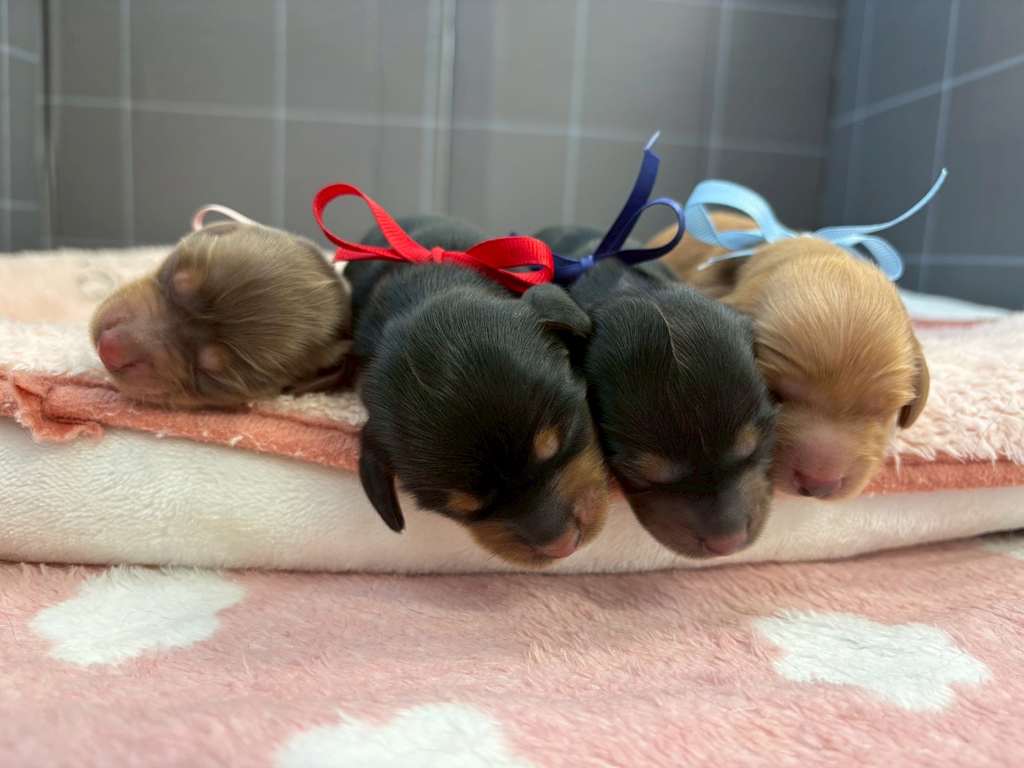 赤ちゃん写真1-3