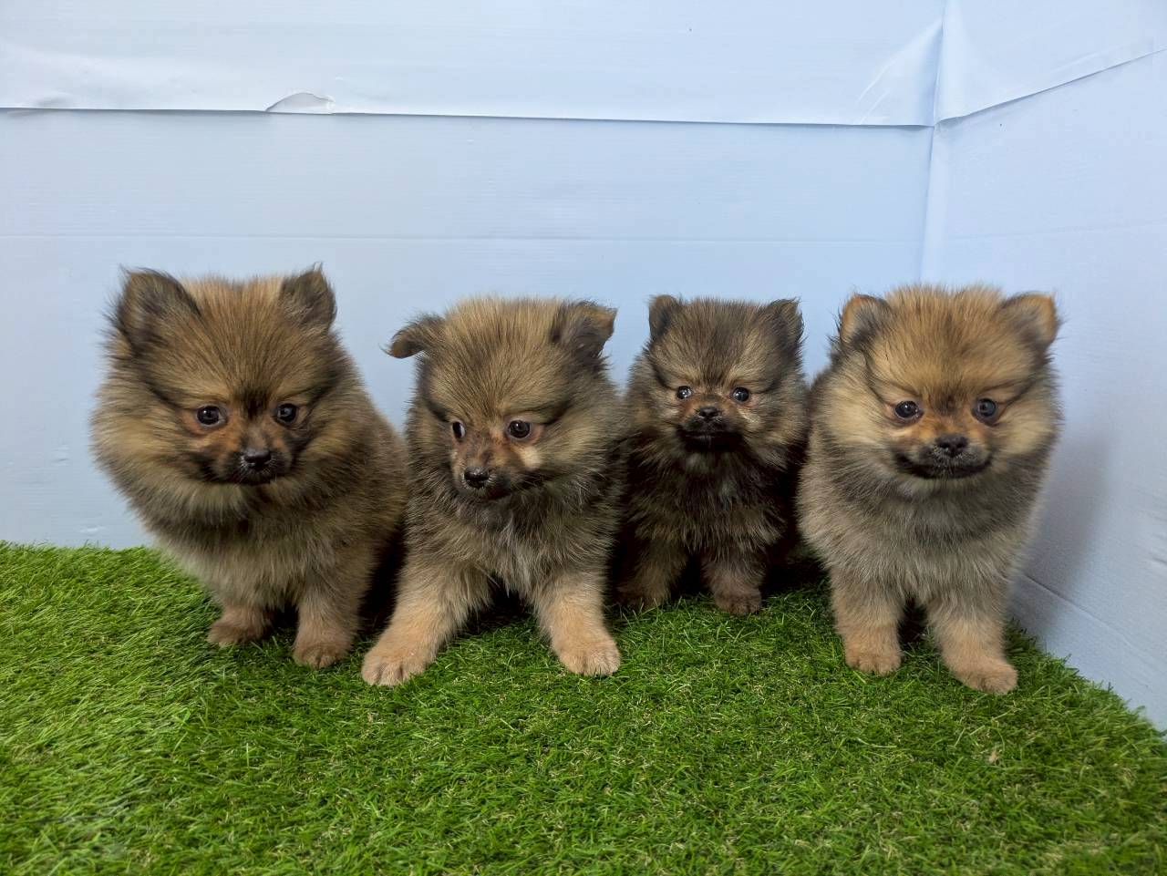 赤ちゃん写真3-3