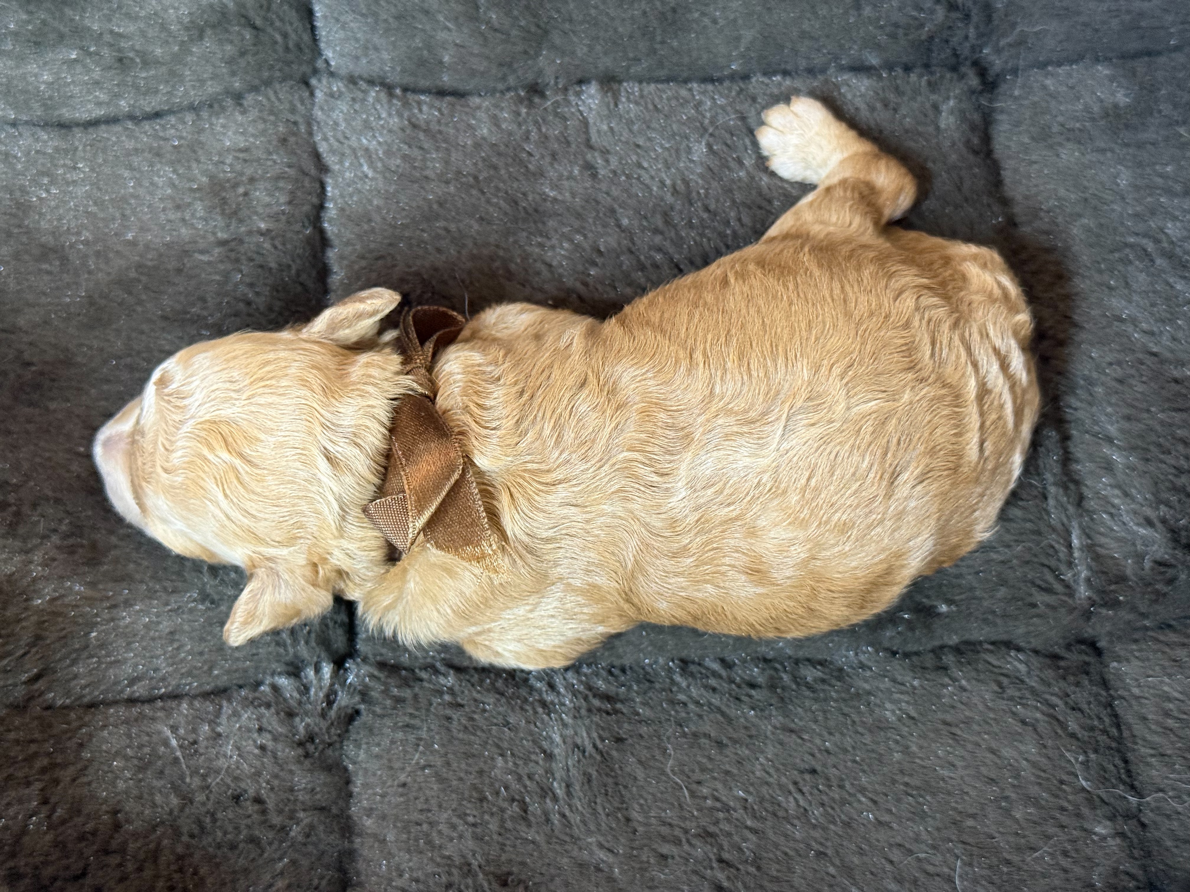 赤ちゃん写真1-3