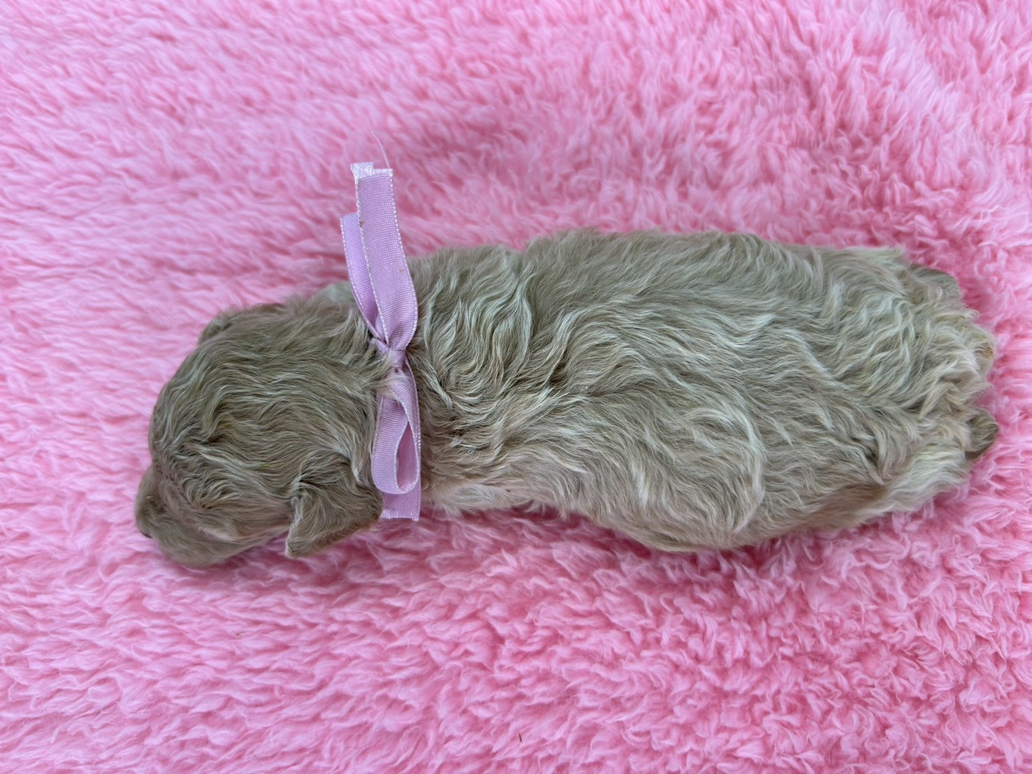 赤ちゃん写真2-3