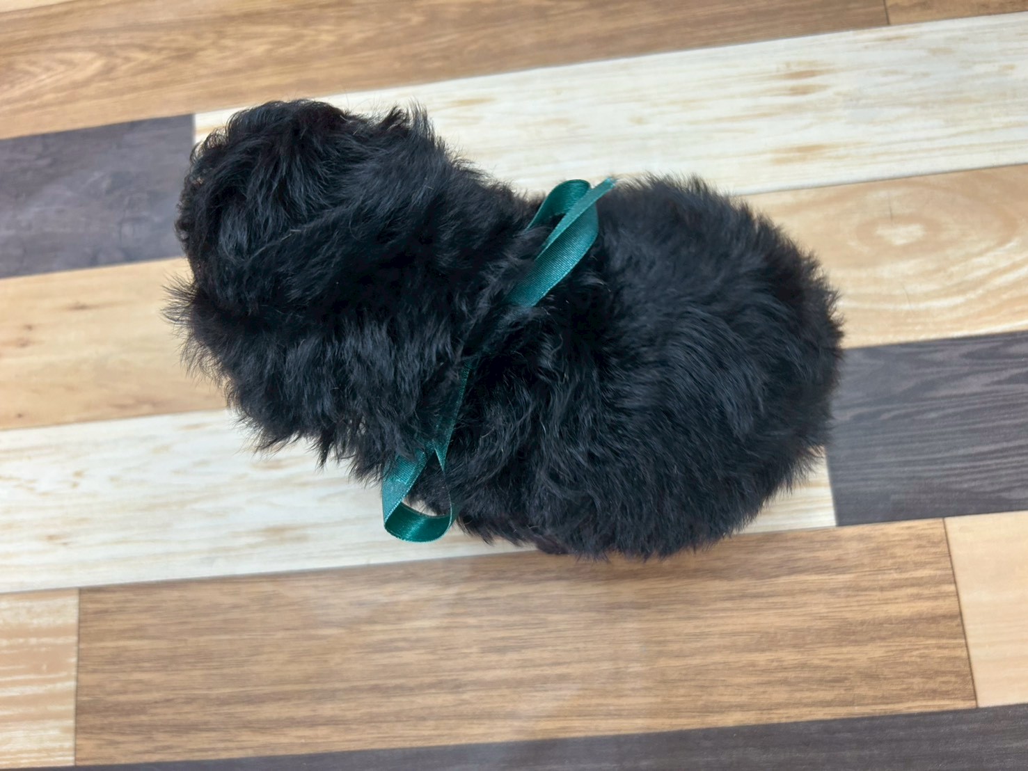 赤ちゃん写真3-3