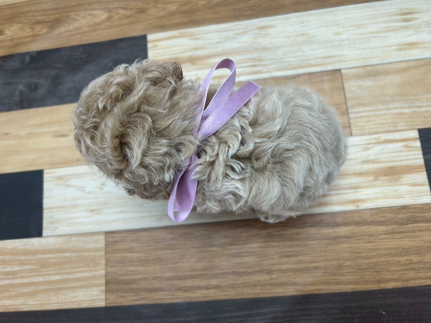 赤ちゃん写真3-3
