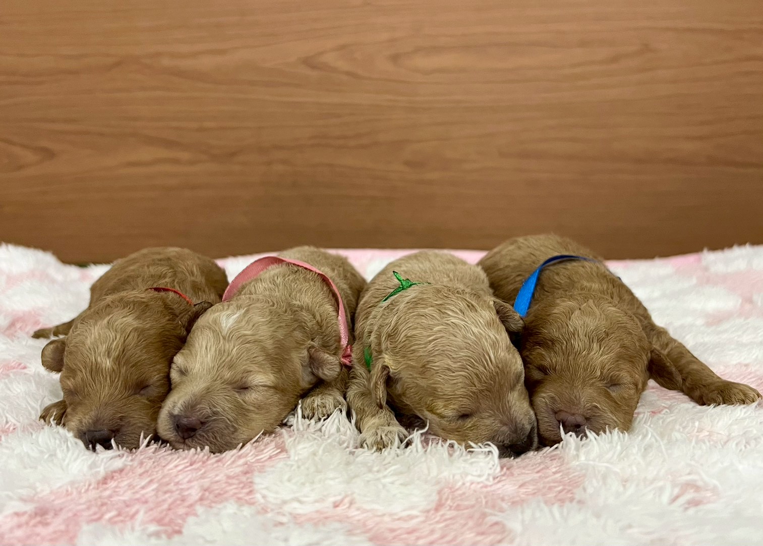 赤ちゃん写真1-3