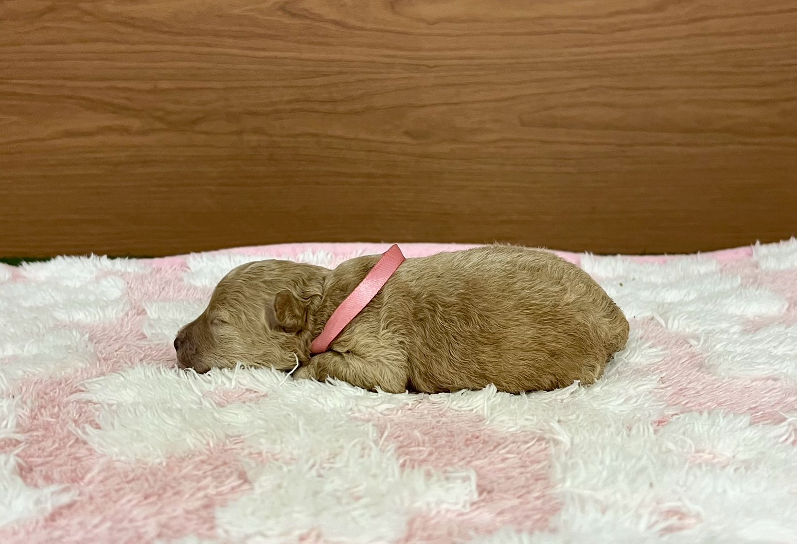 赤ちゃん写真1-2