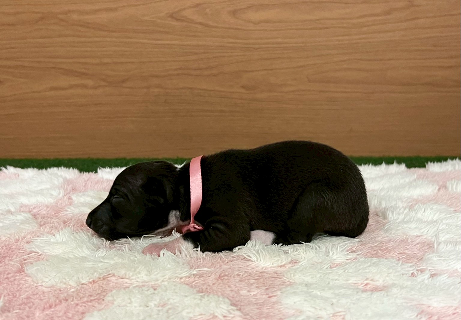 赤ちゃん写真1-2