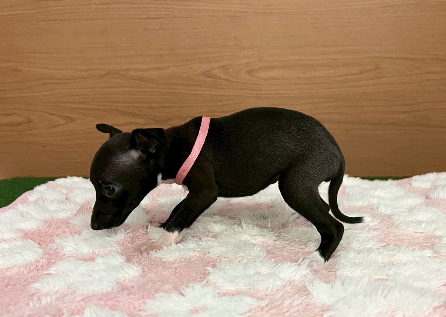 赤ちゃん写真2-2