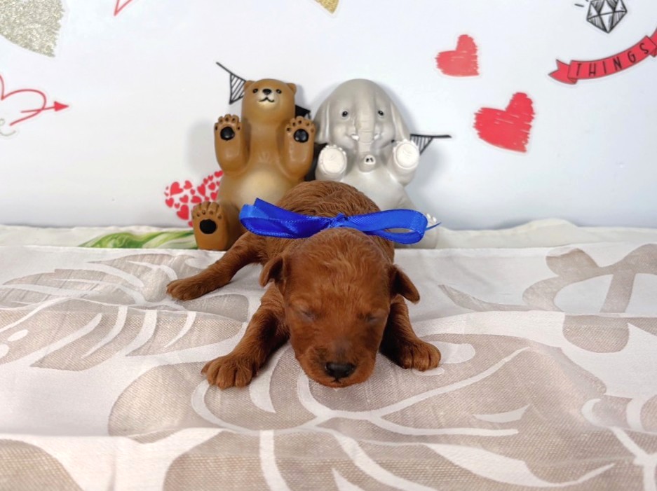 赤ちゃん写真1-1