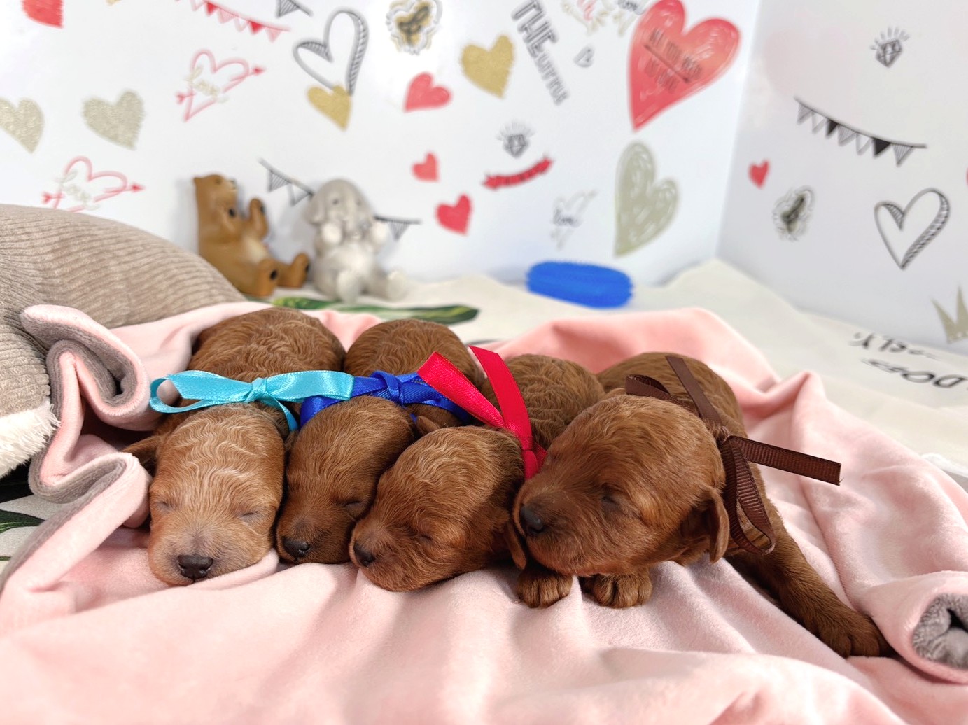 赤ちゃん写真1-3