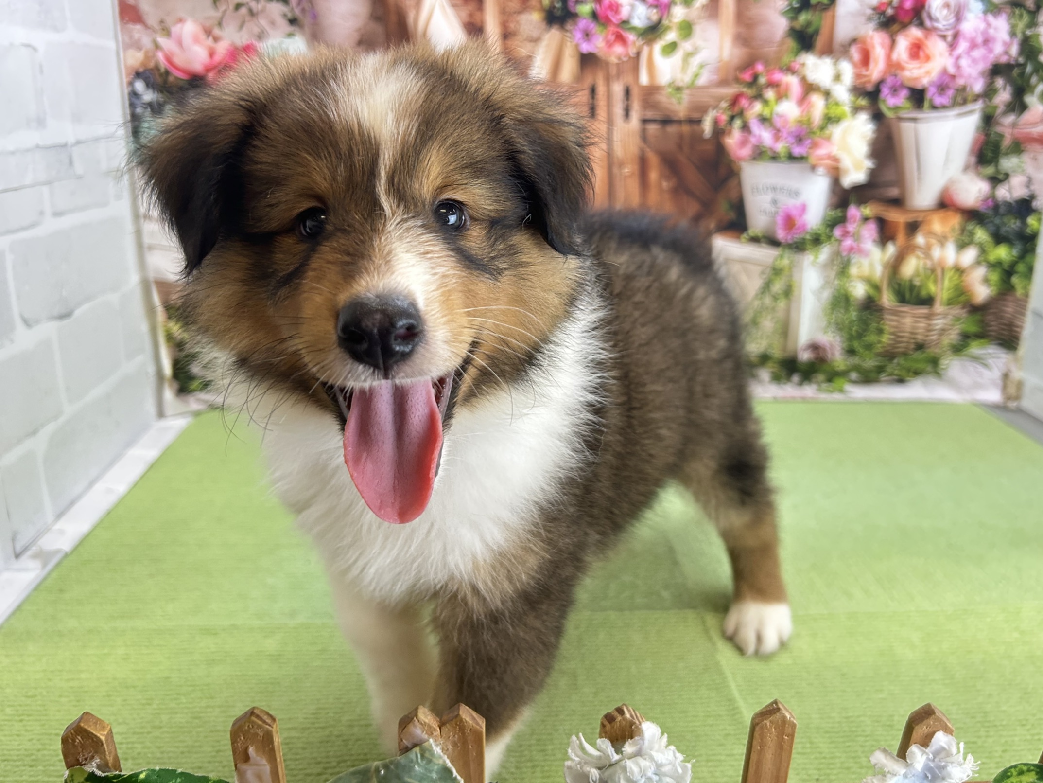 赤ちゃん写真3-1