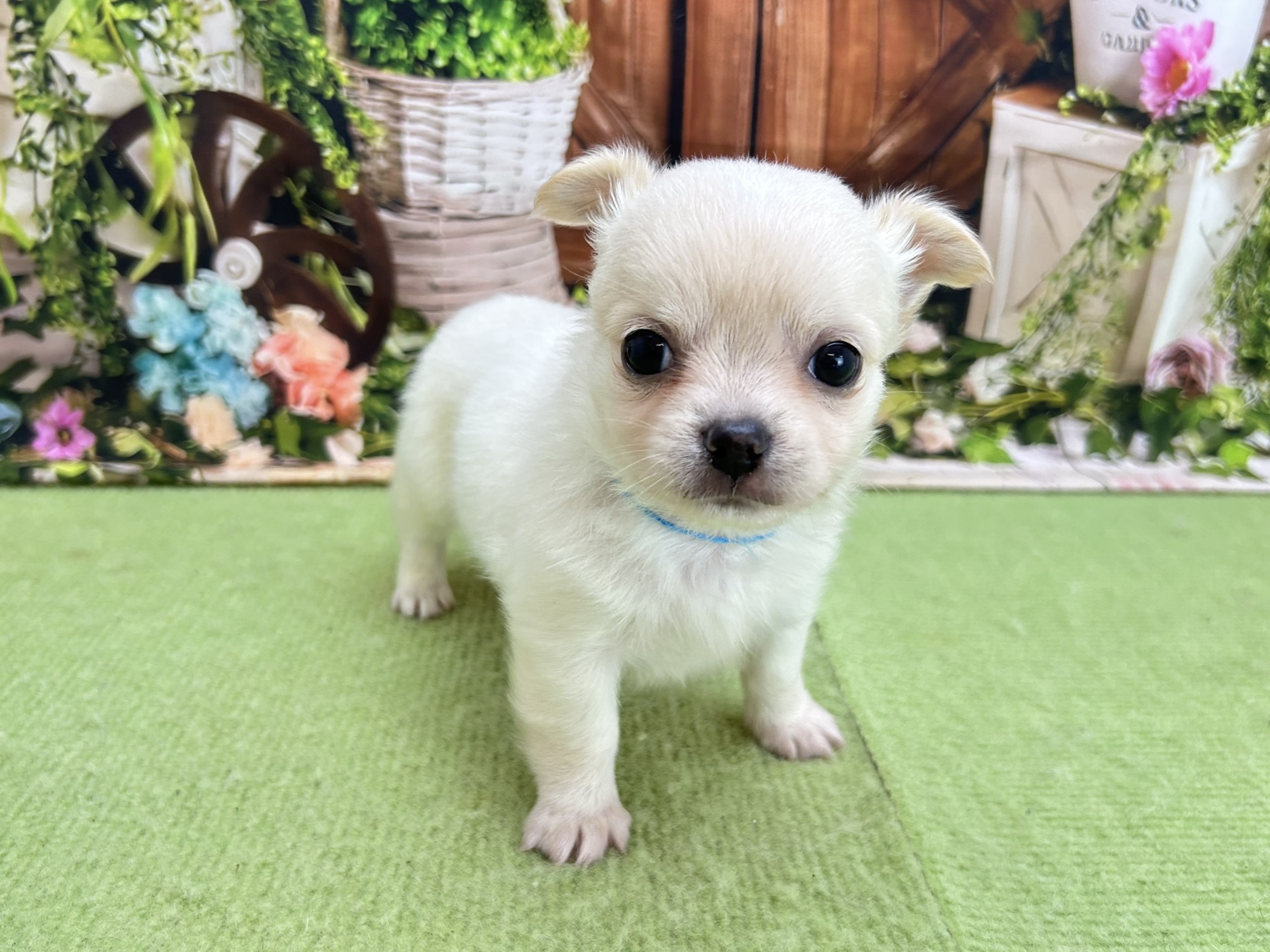 赤ちゃん写真2-1