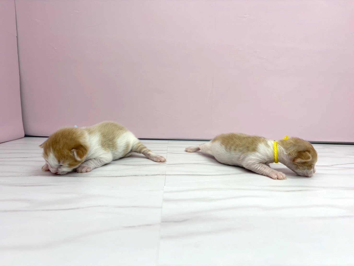 赤ちゃん写真1-3