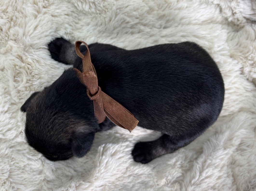 赤ちゃん写真1-3