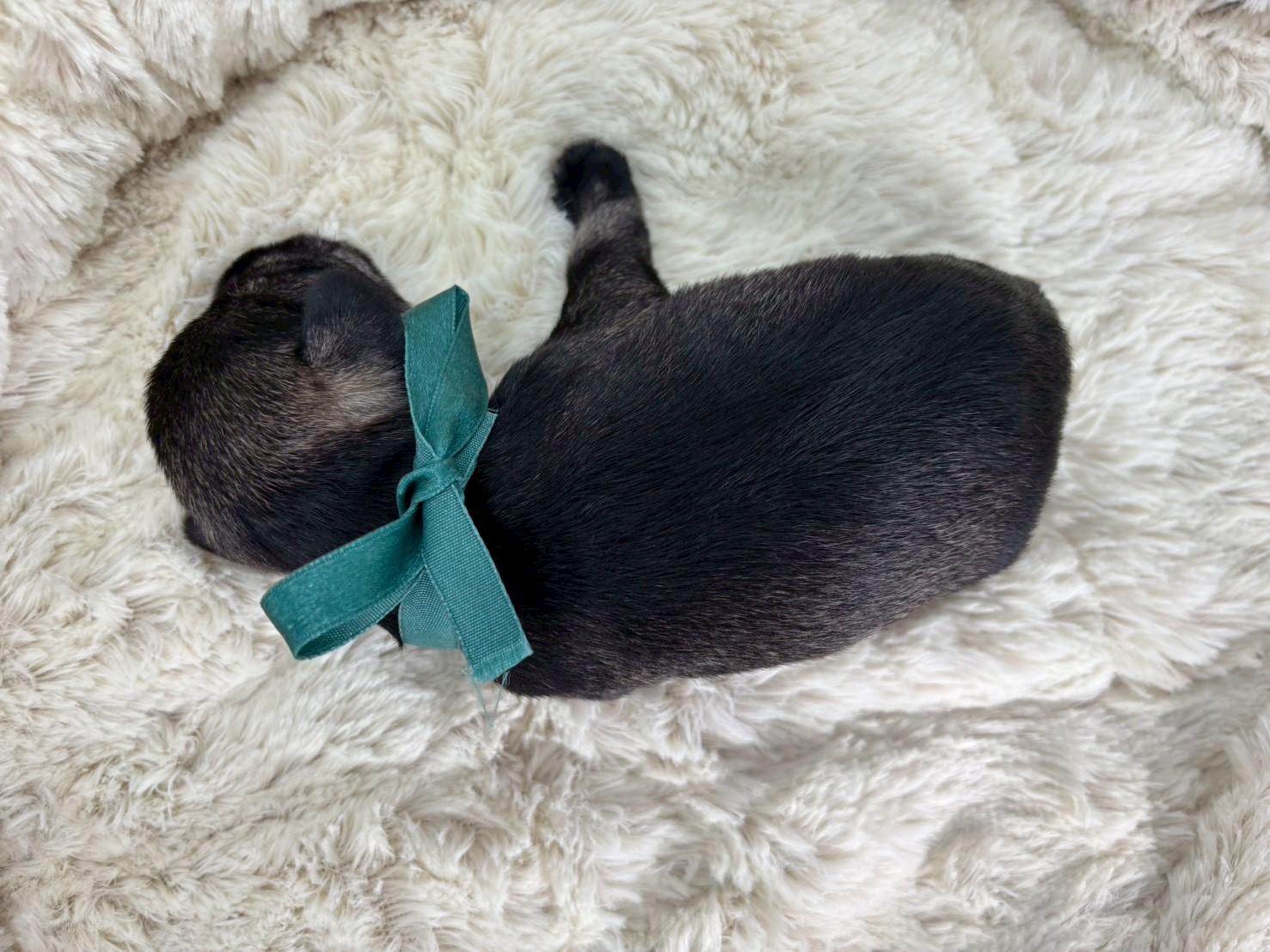 赤ちゃん写真1-3