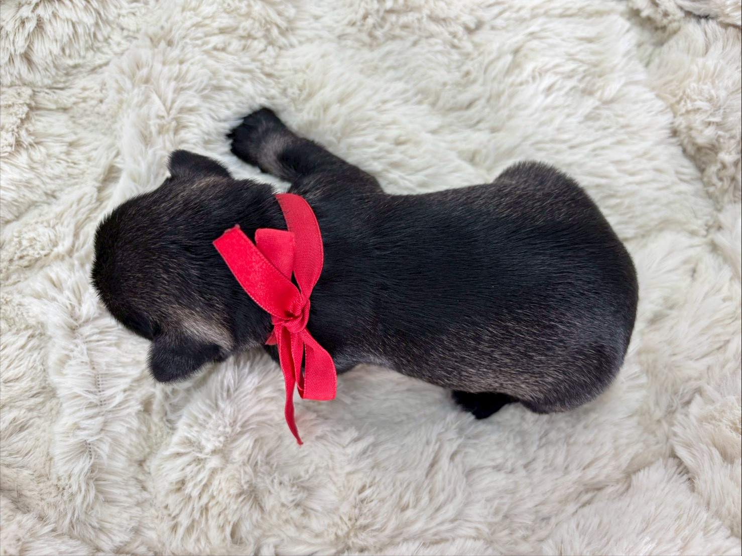 赤ちゃん写真1-3