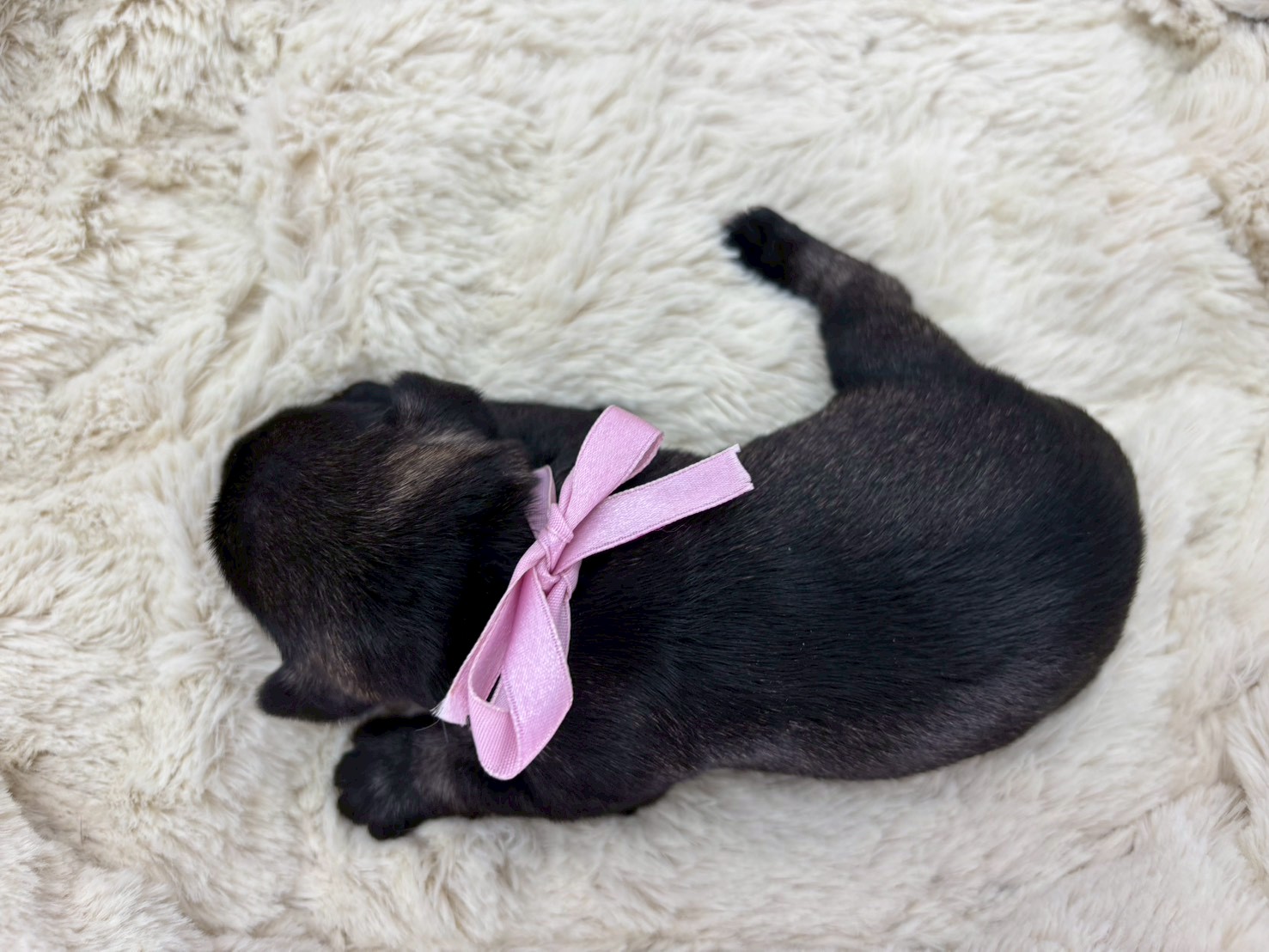 赤ちゃん写真1-3