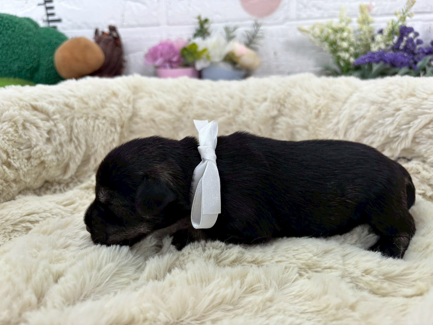 赤ちゃん写真1-2