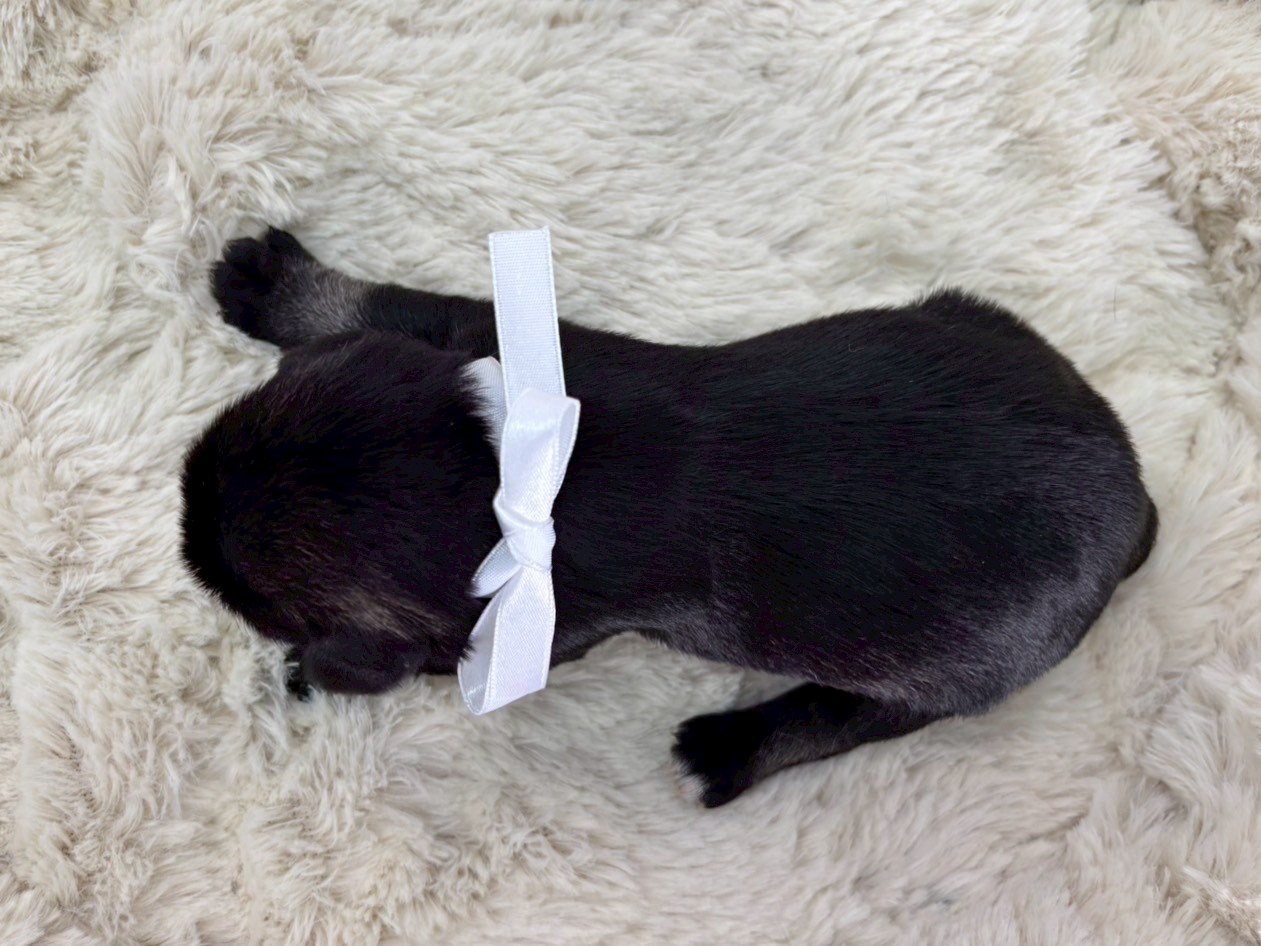 赤ちゃん写真1-3