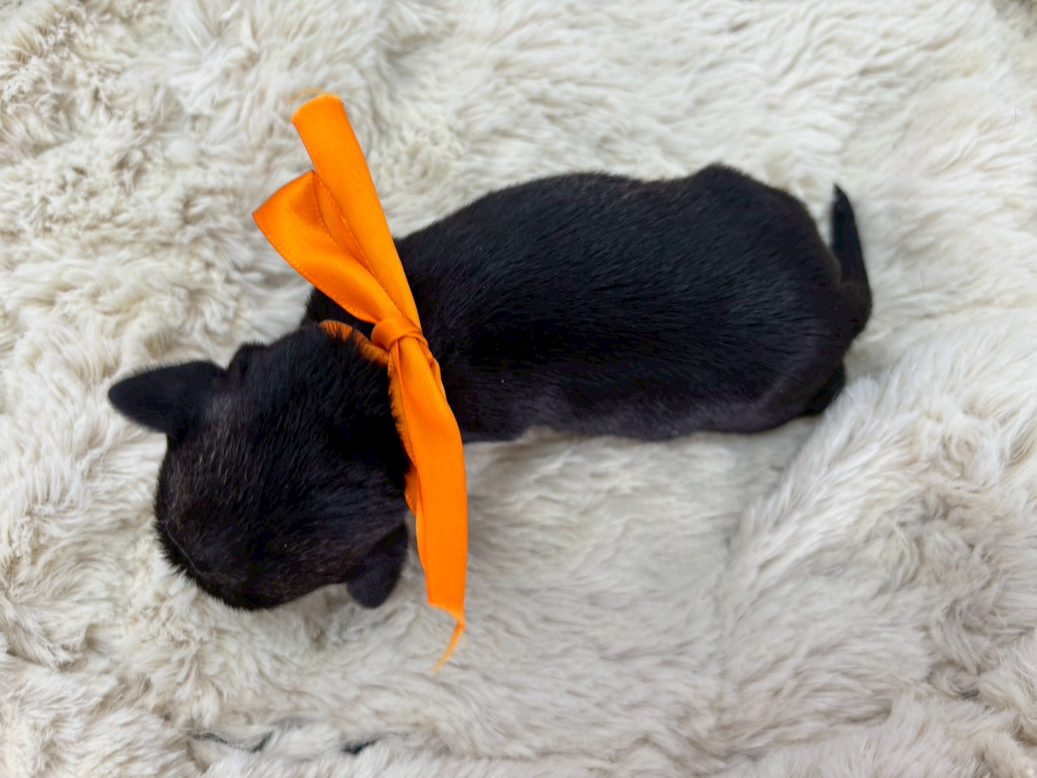 赤ちゃん写真1-3