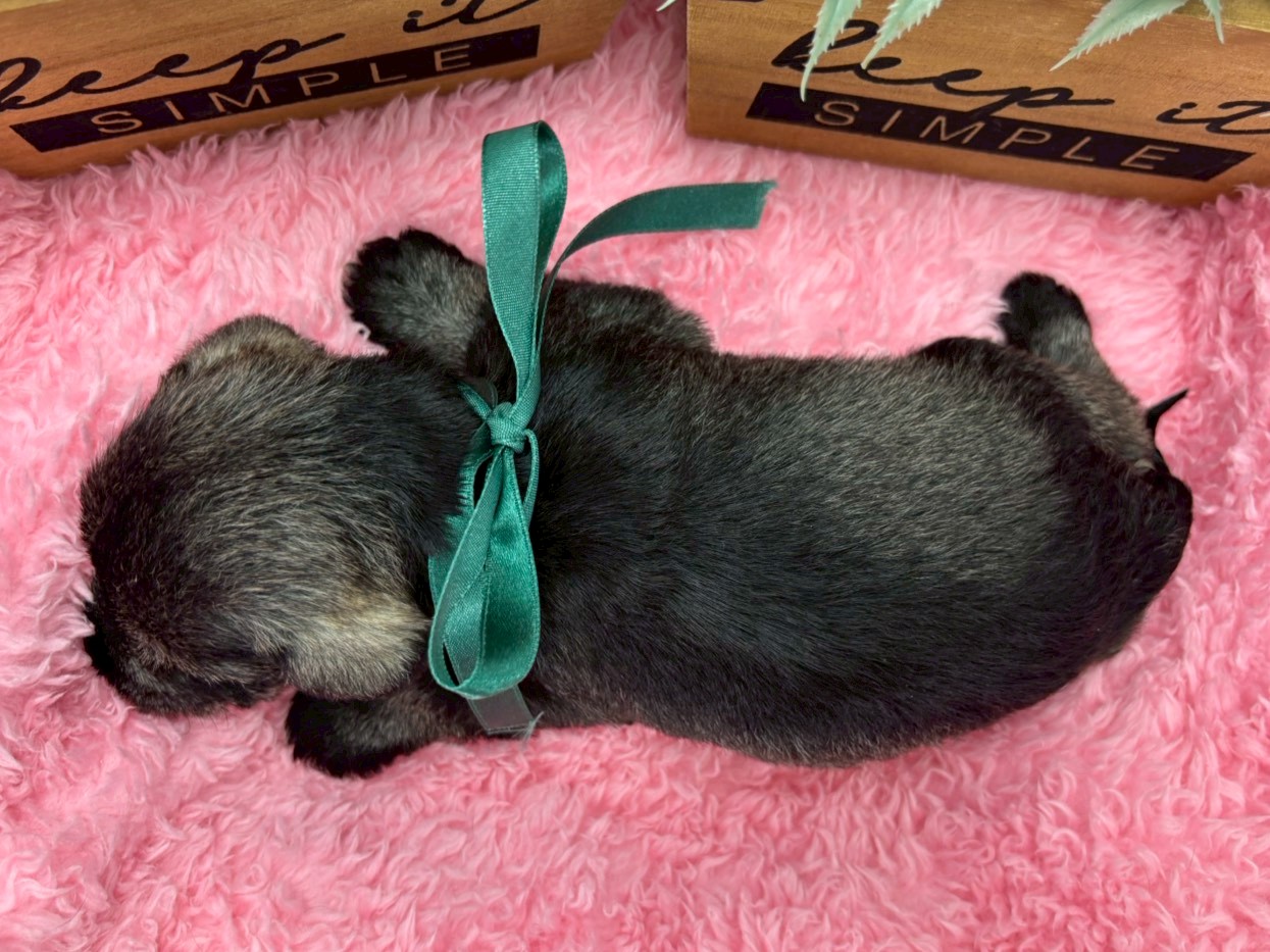 赤ちゃん写真2-3