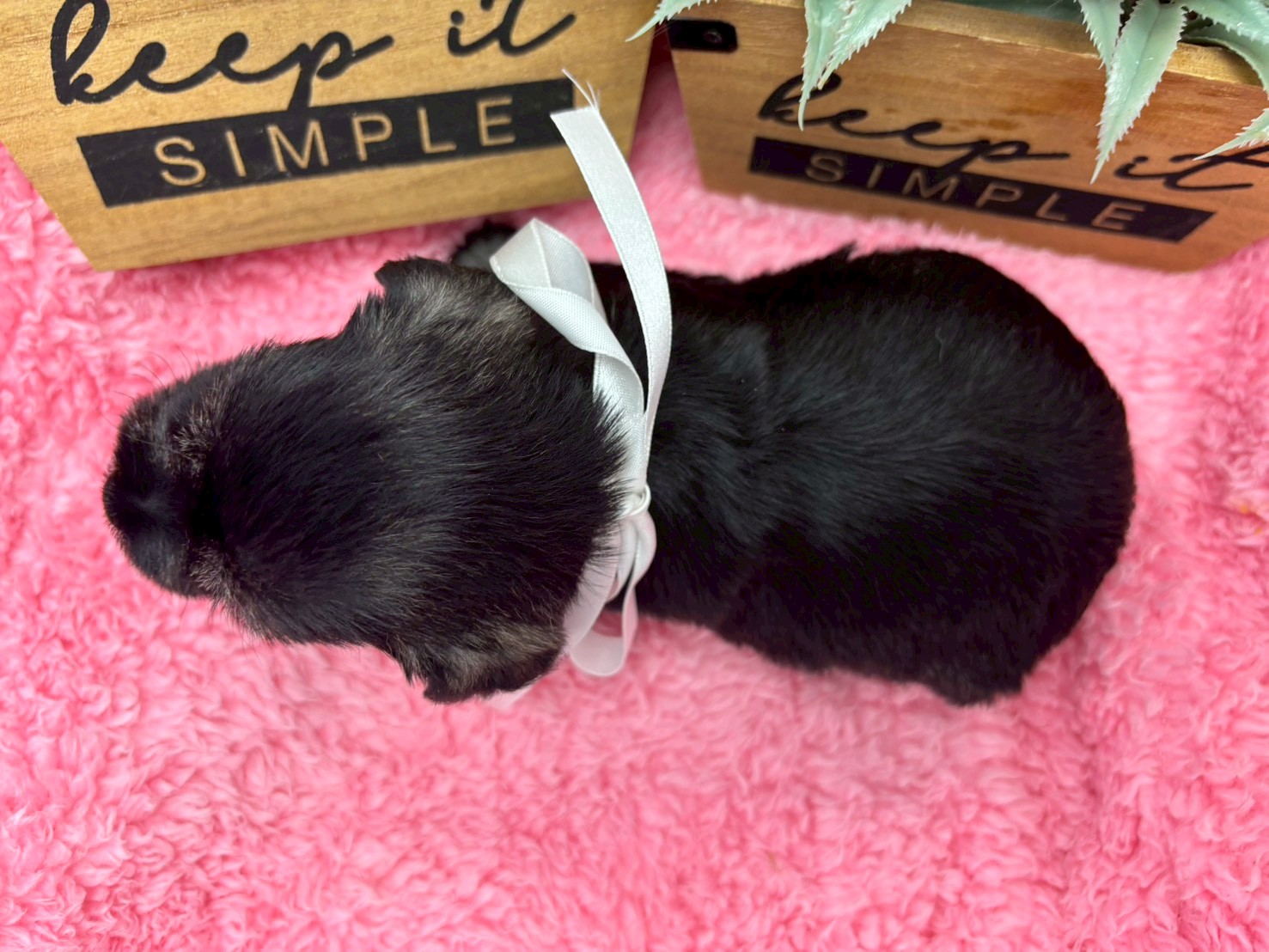 赤ちゃん写真2-3